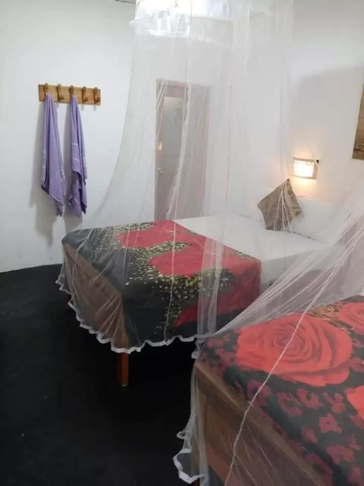 Bed in The Horizon Root Inn