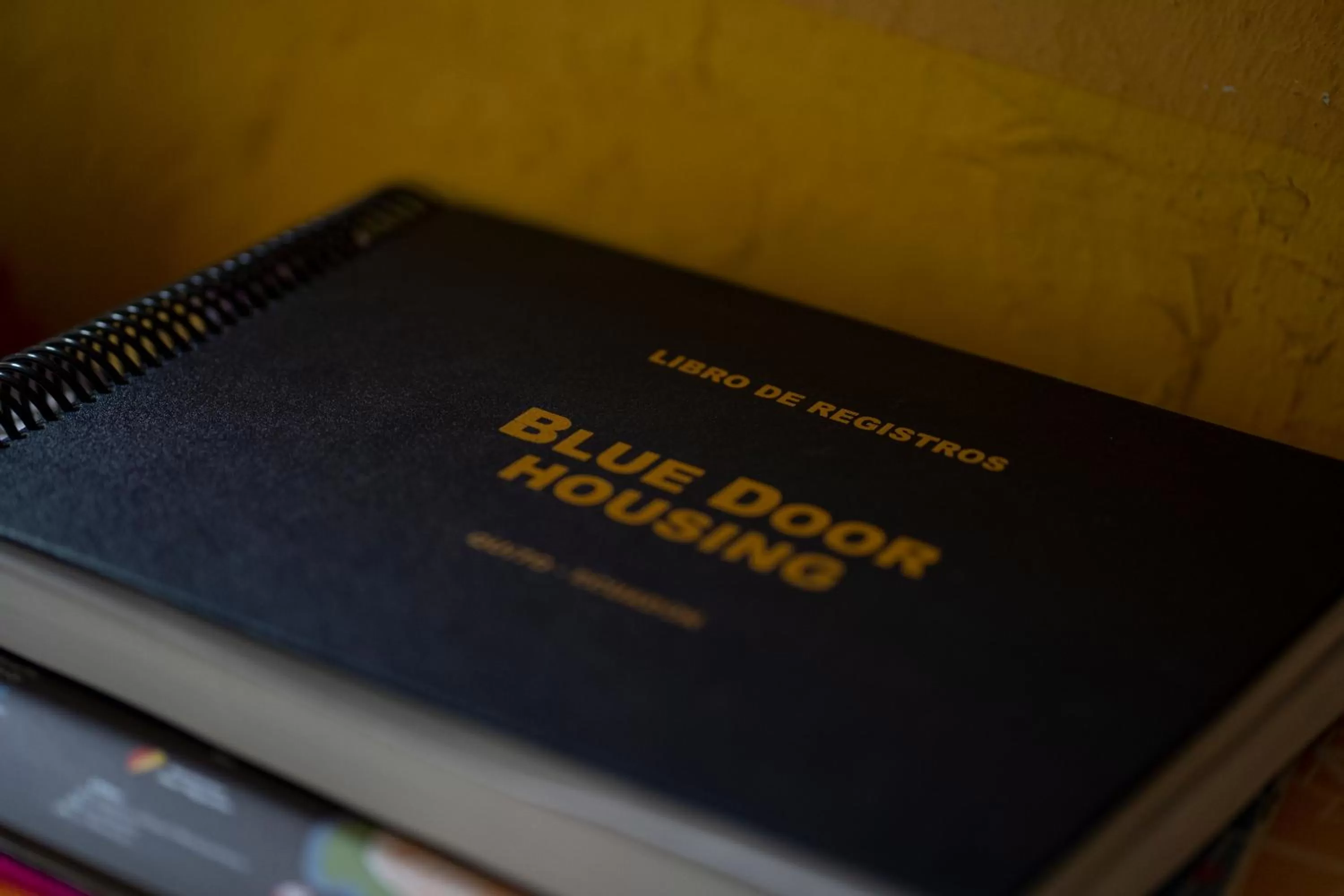 Decorative detail in Blue Door Housing Historic Quito