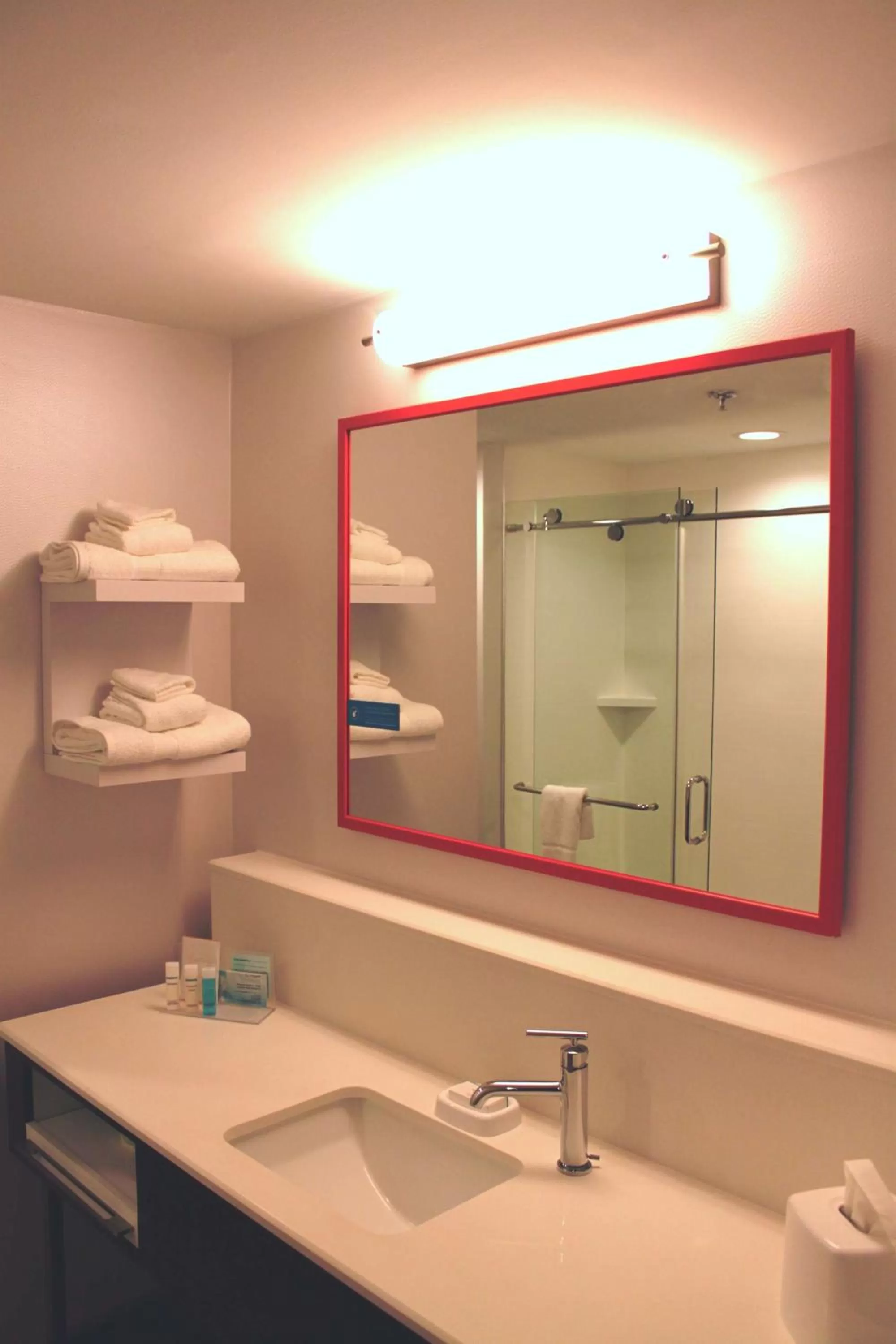 Bathroom in Hampton Inn Forsyth