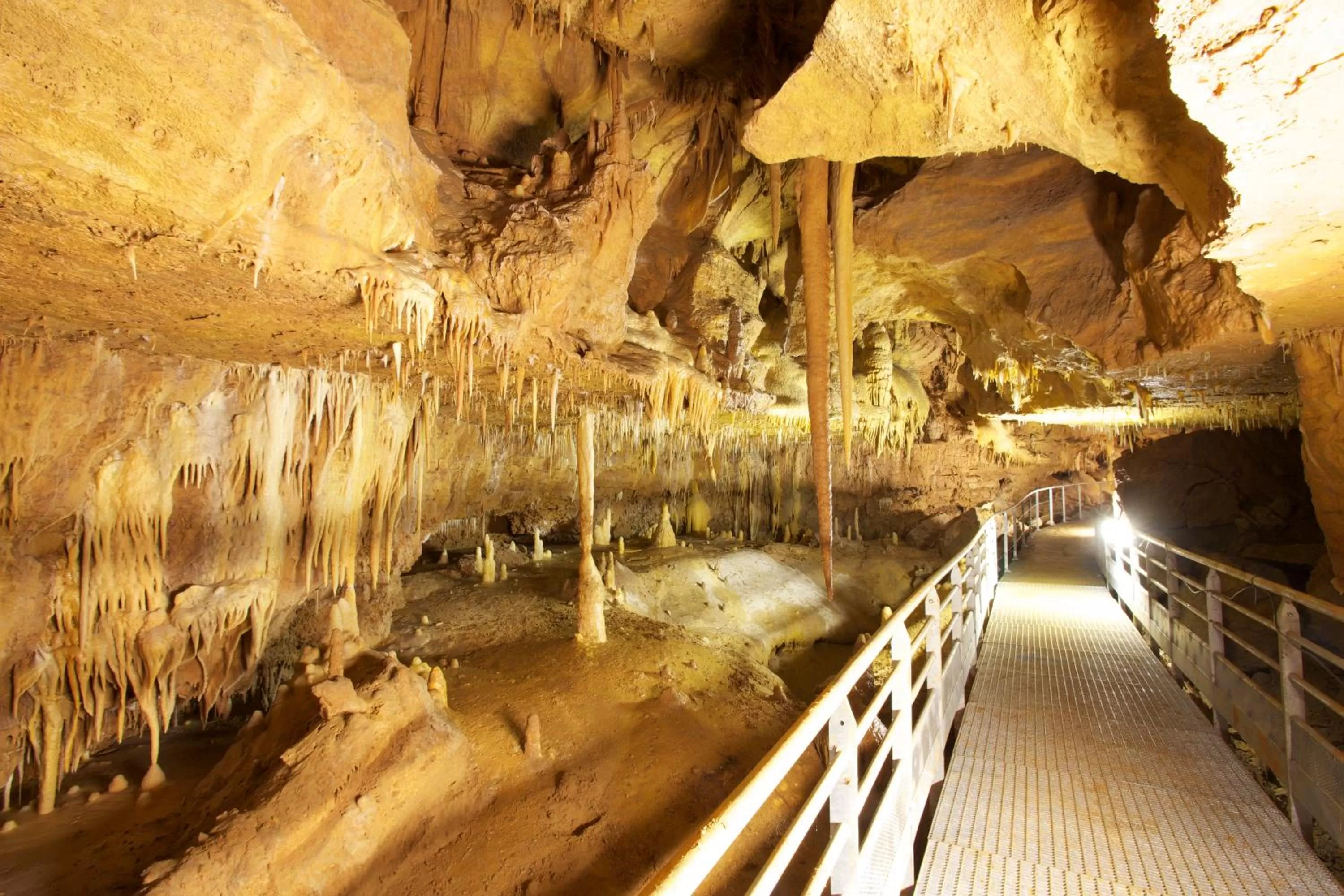 Area and facilities in La Maison du Parc