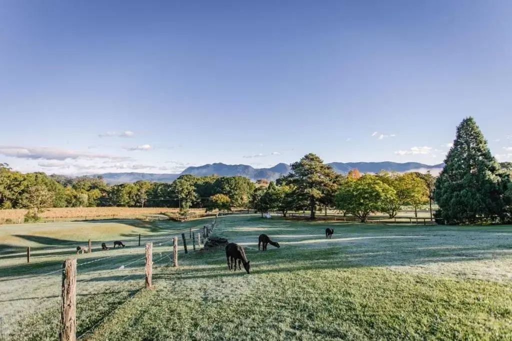 The Lodge Bellingen The Lodge Bellingen