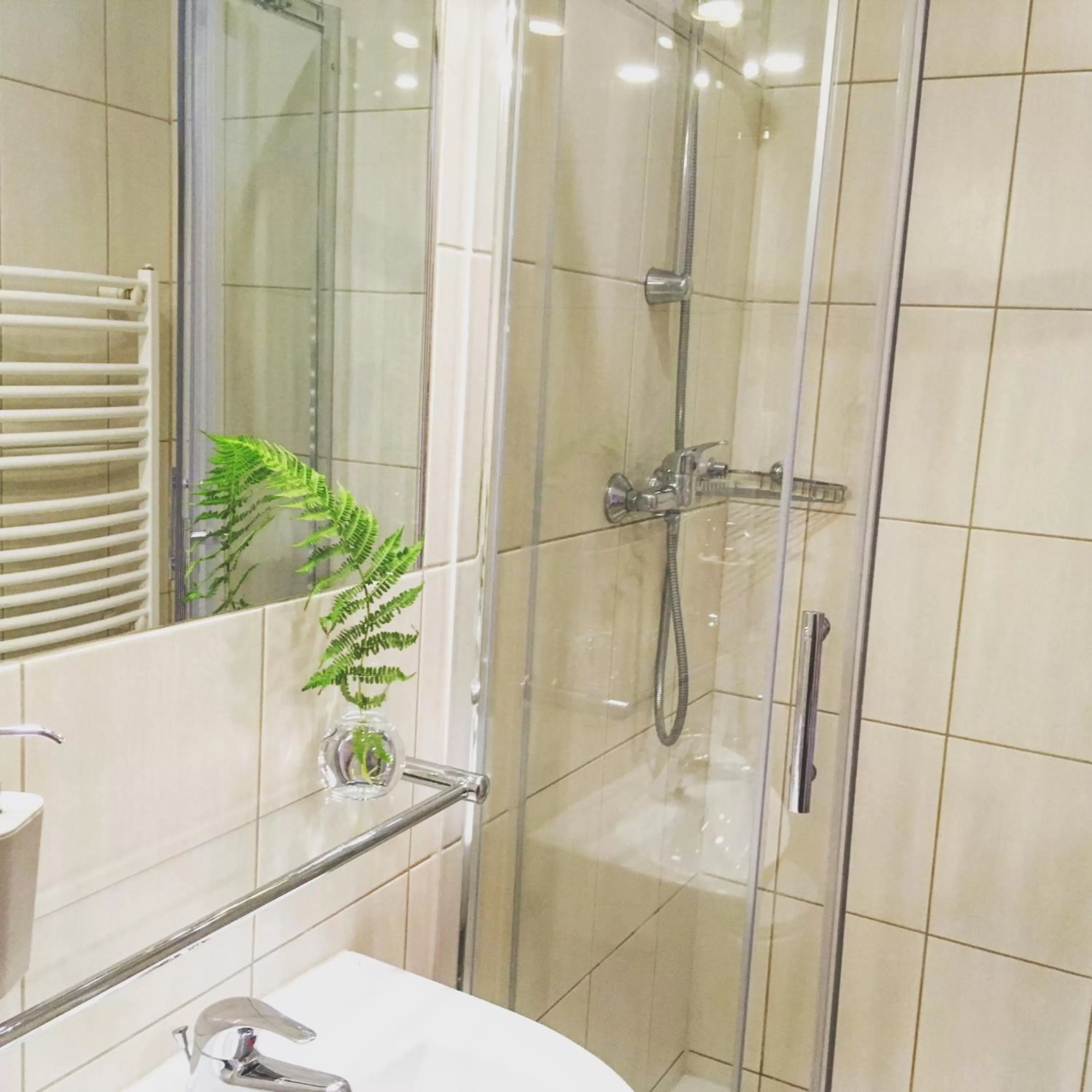 Shower in Zakopane Stop