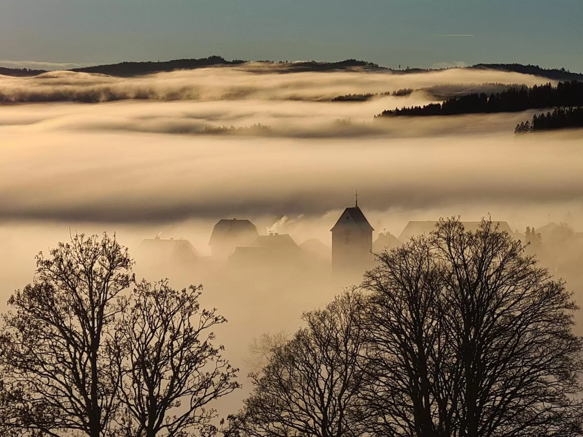 Natural landscape in JUFA Hotel Schwarzwald