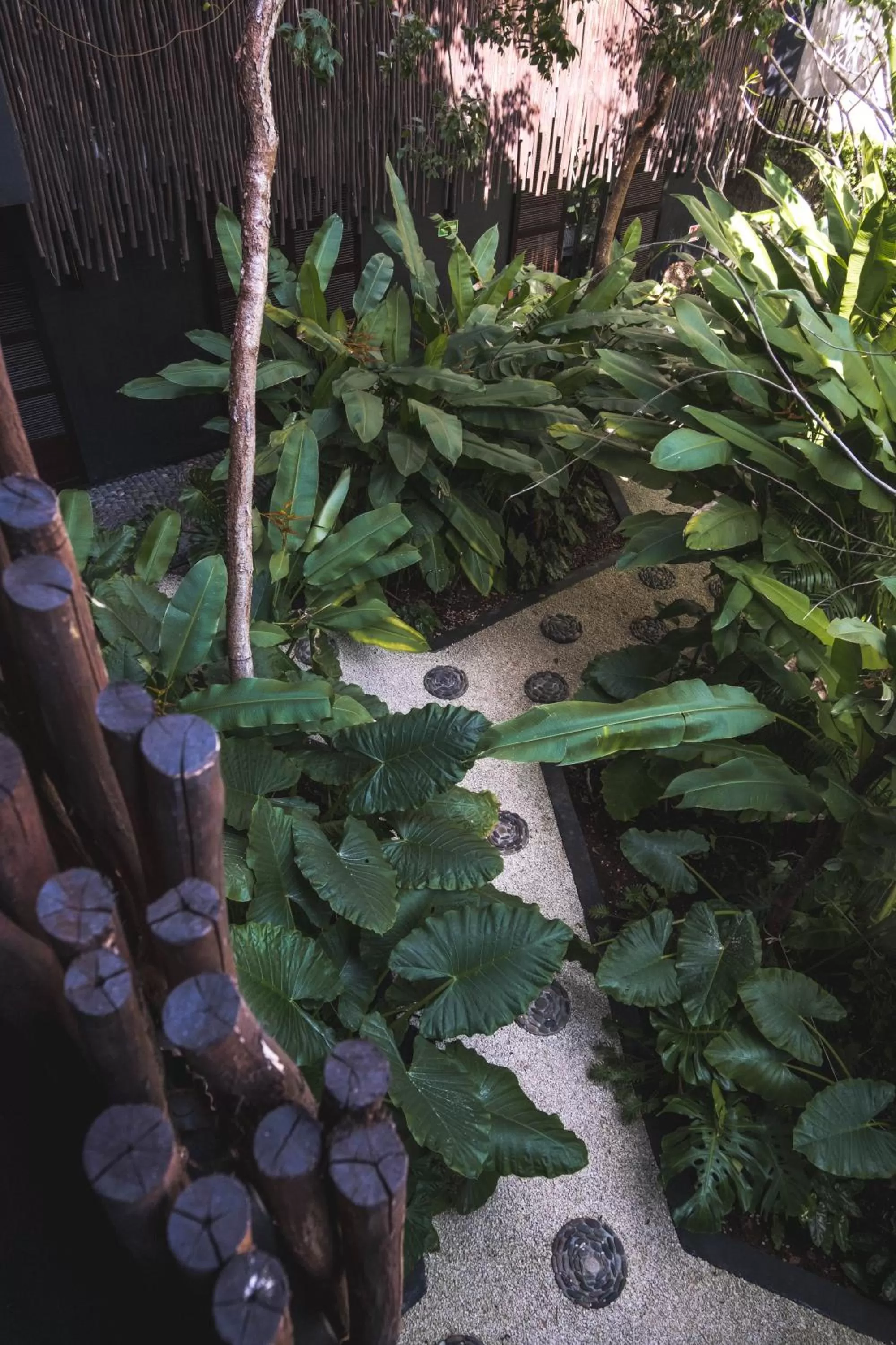 Garden in Maka Hotel Boutique