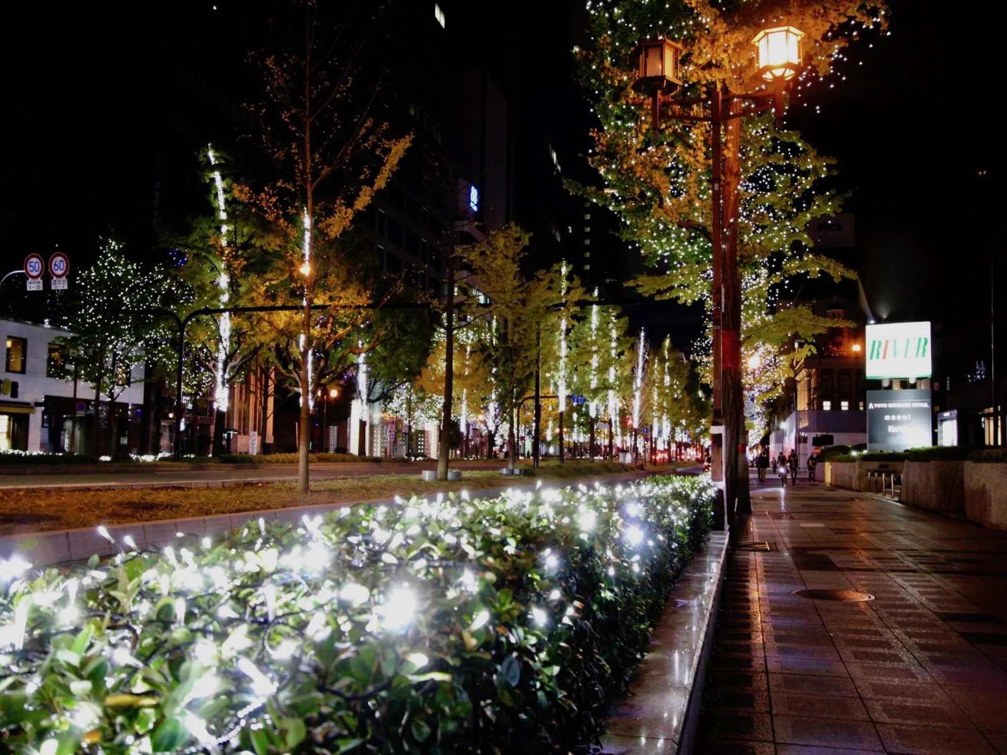 Osaka Guesthouse Nest