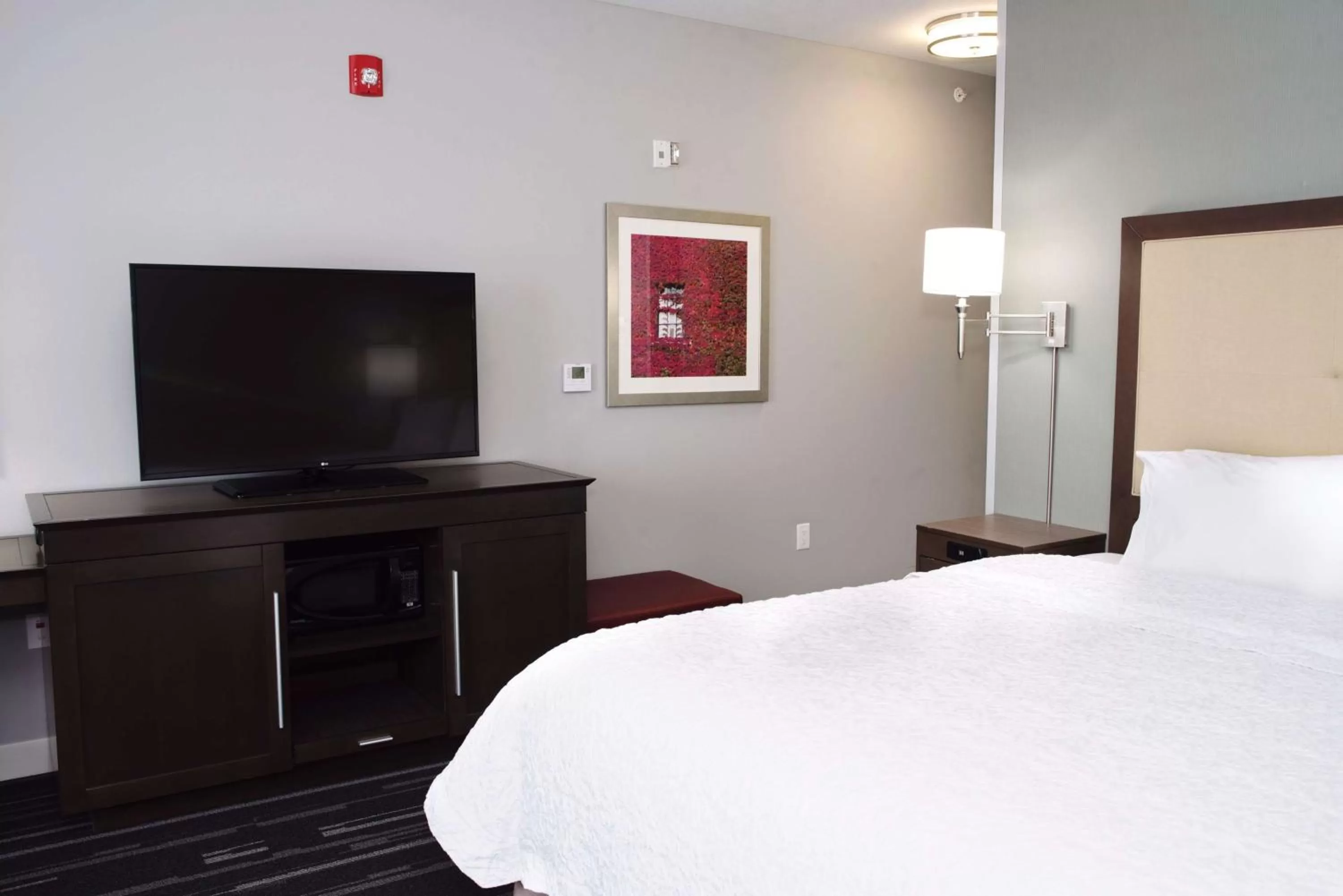 Bedroom, Bed in Hampton Inn & Suites Des Moines/Urbandale Ia