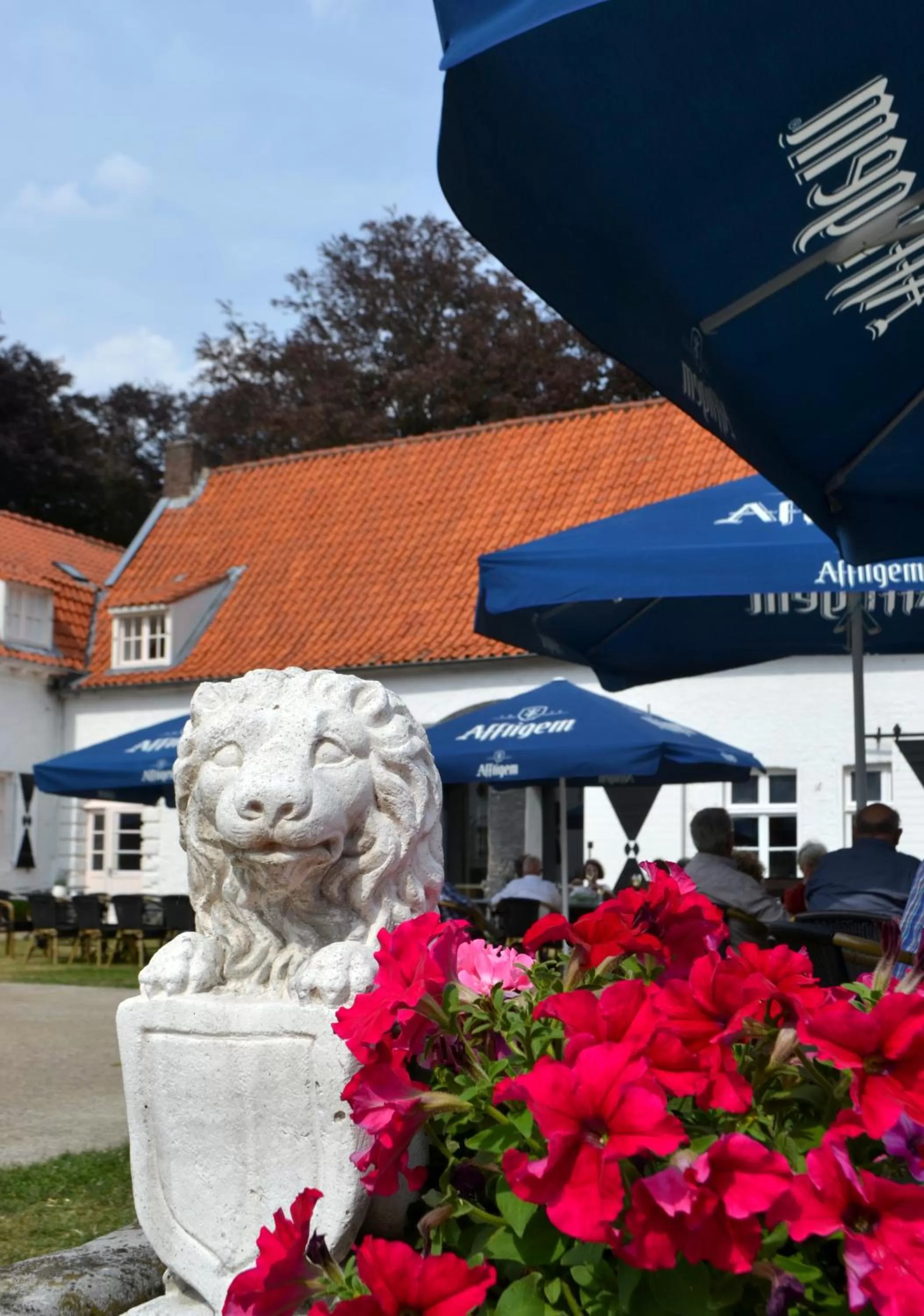 Balcony/Terrace in Kasteel Aldenghoor