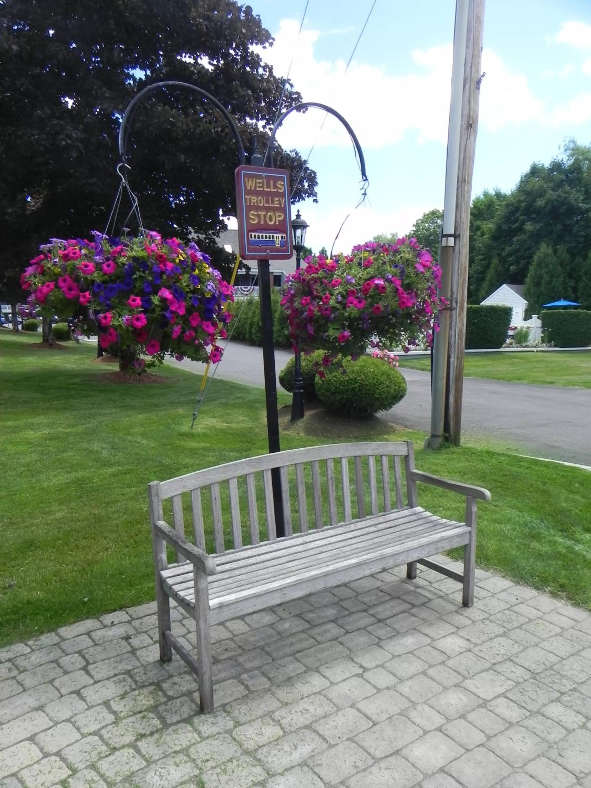 Garden in Elmwood Resort Hotel