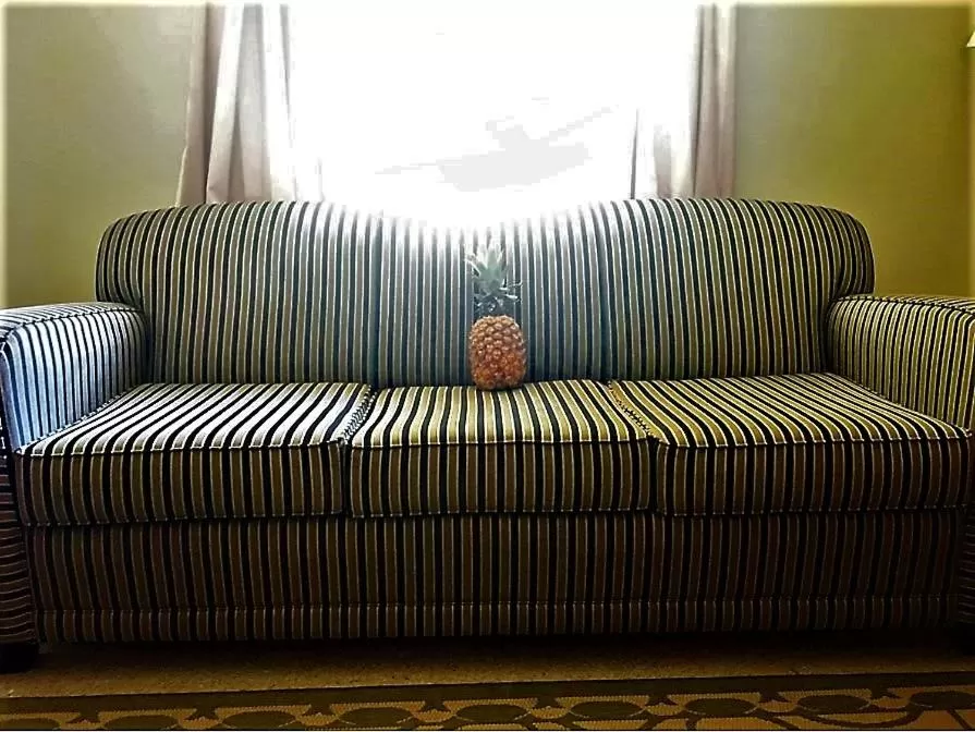 Living room in Gold Coast Family Cottages