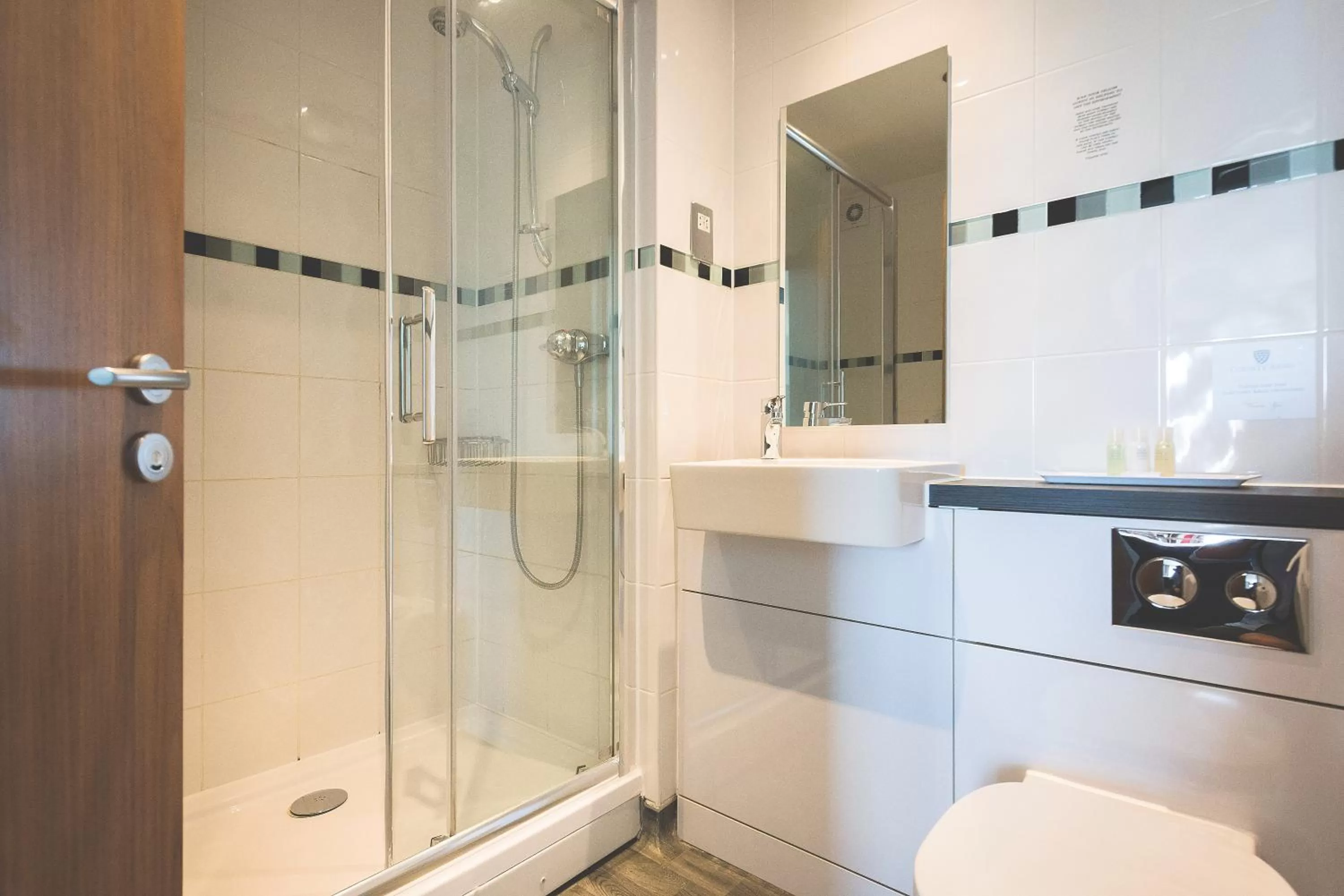 Toilet in County Arms