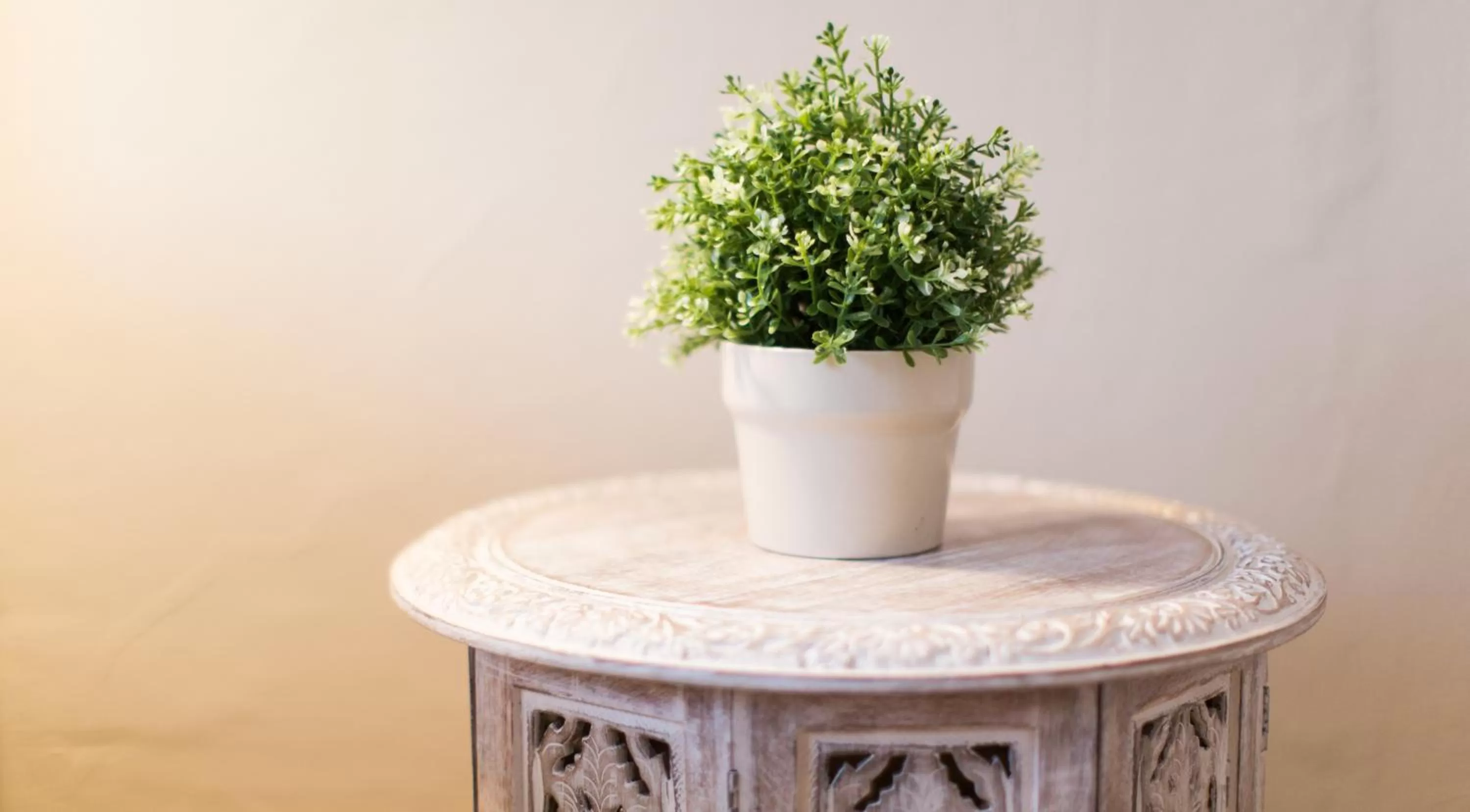 1920 Maison et Musique Hotel