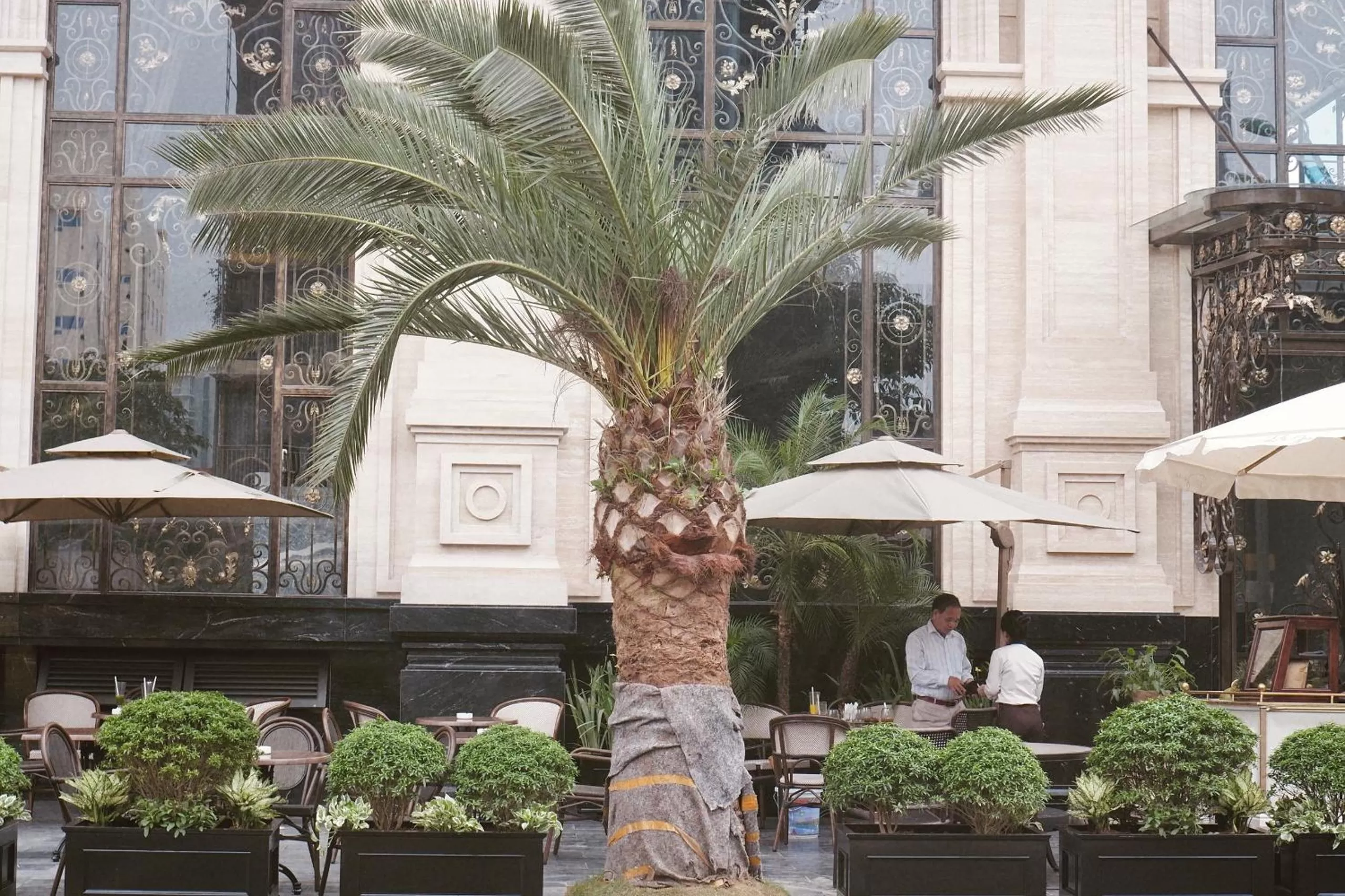 View (from property/room) in D'Lecia Ha Long Hotel