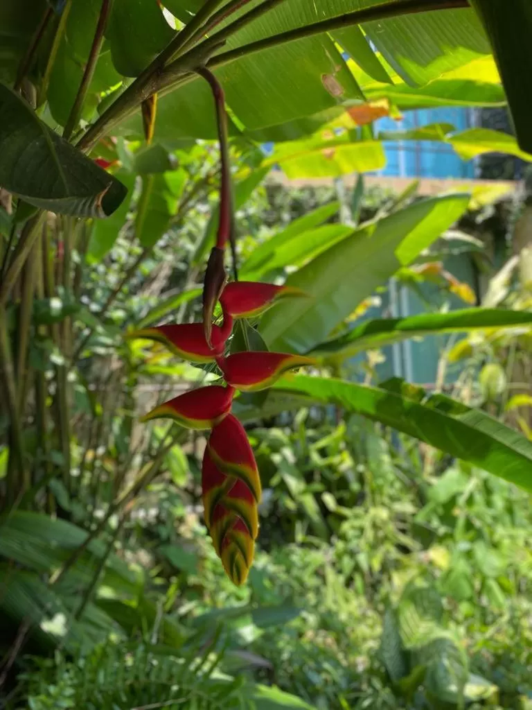 Hotel Camino Surreal Xilitla