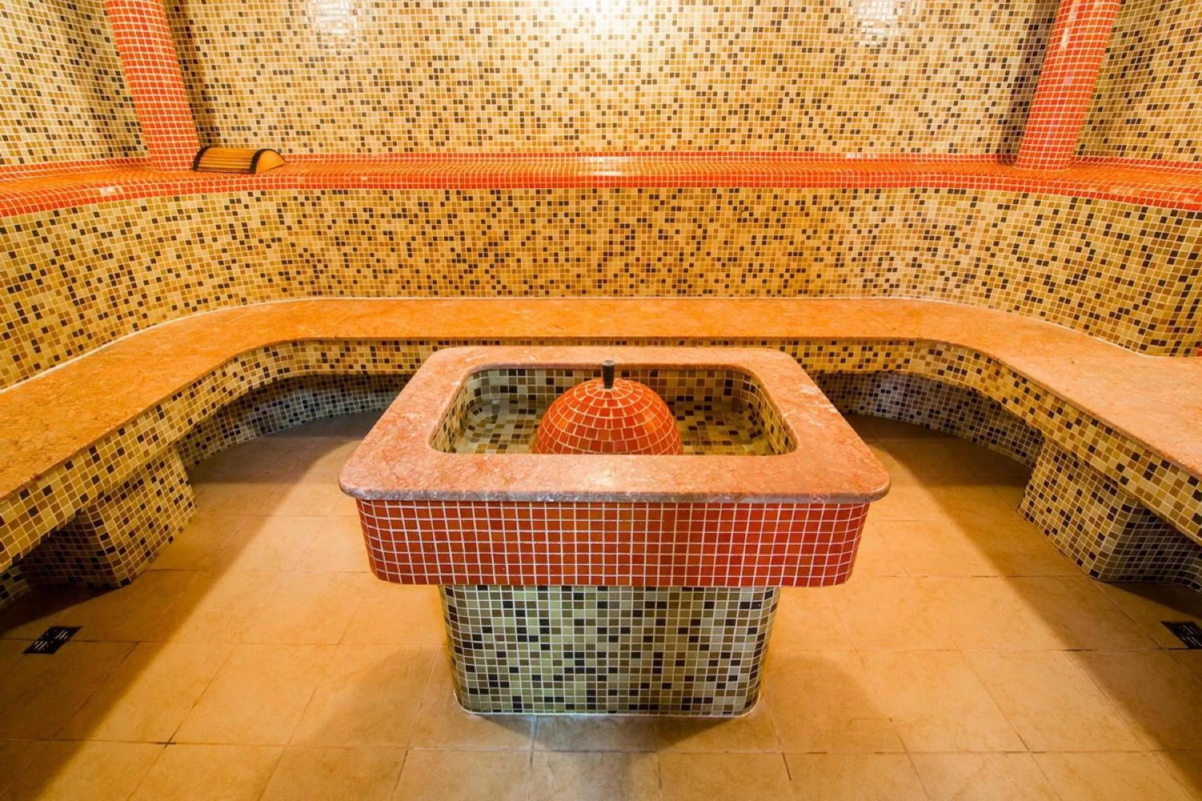 Steam room in Georg Palace Hotel