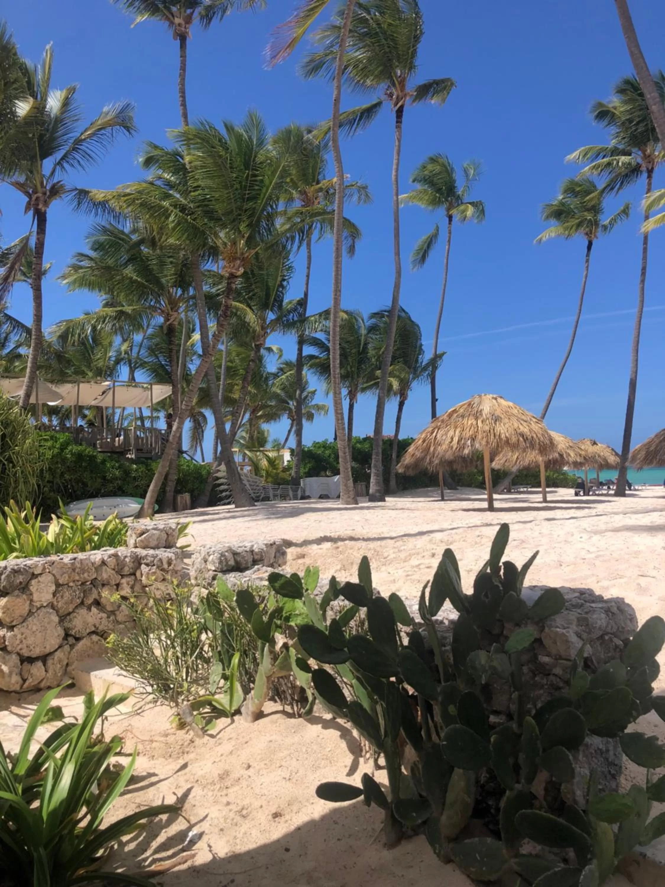 Beach in Los Corales Luxury Villas Beach Club and Spa