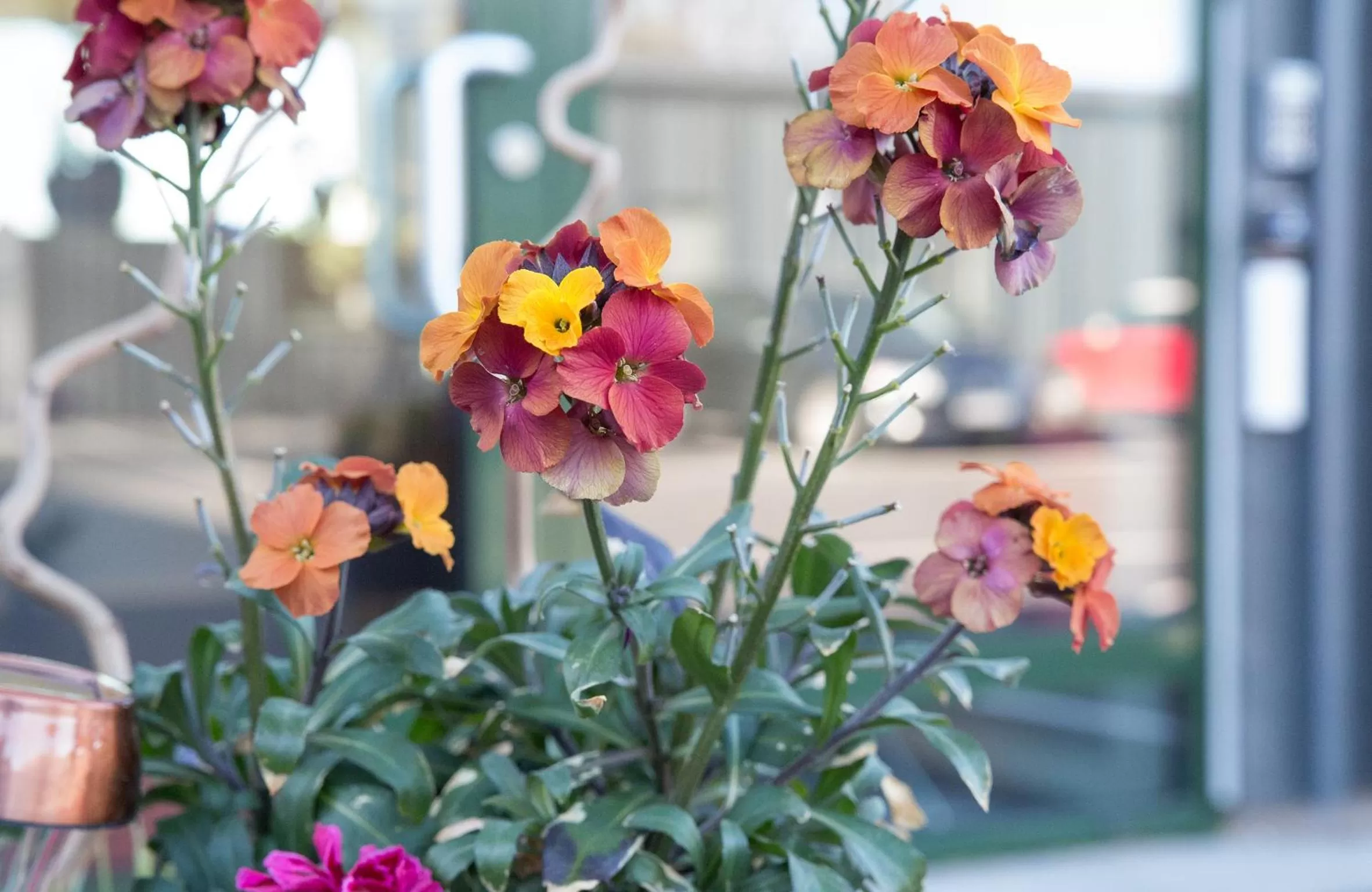 Decorative detail in Hotell Eken Mölndal
