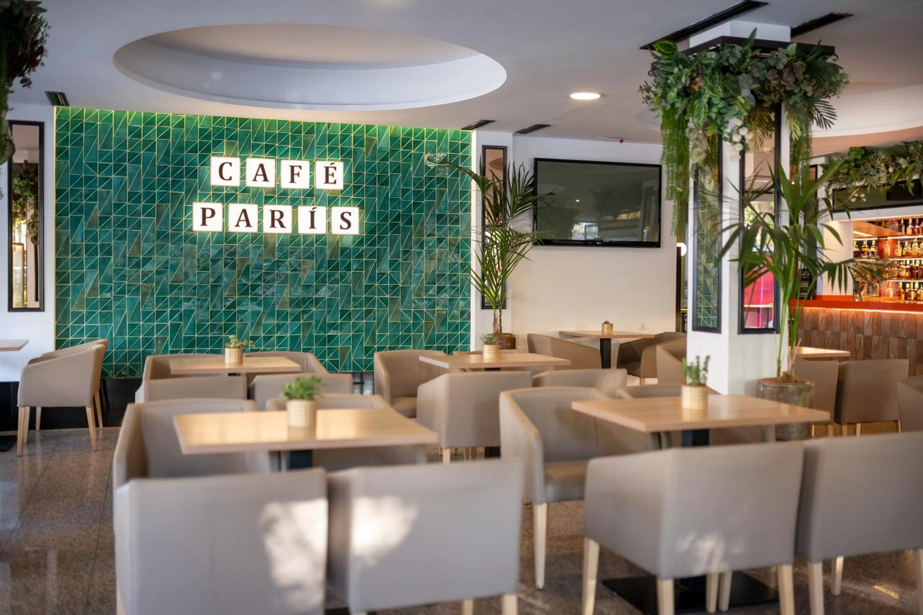 Lounge or bar in Climia Belroy 4 Sup