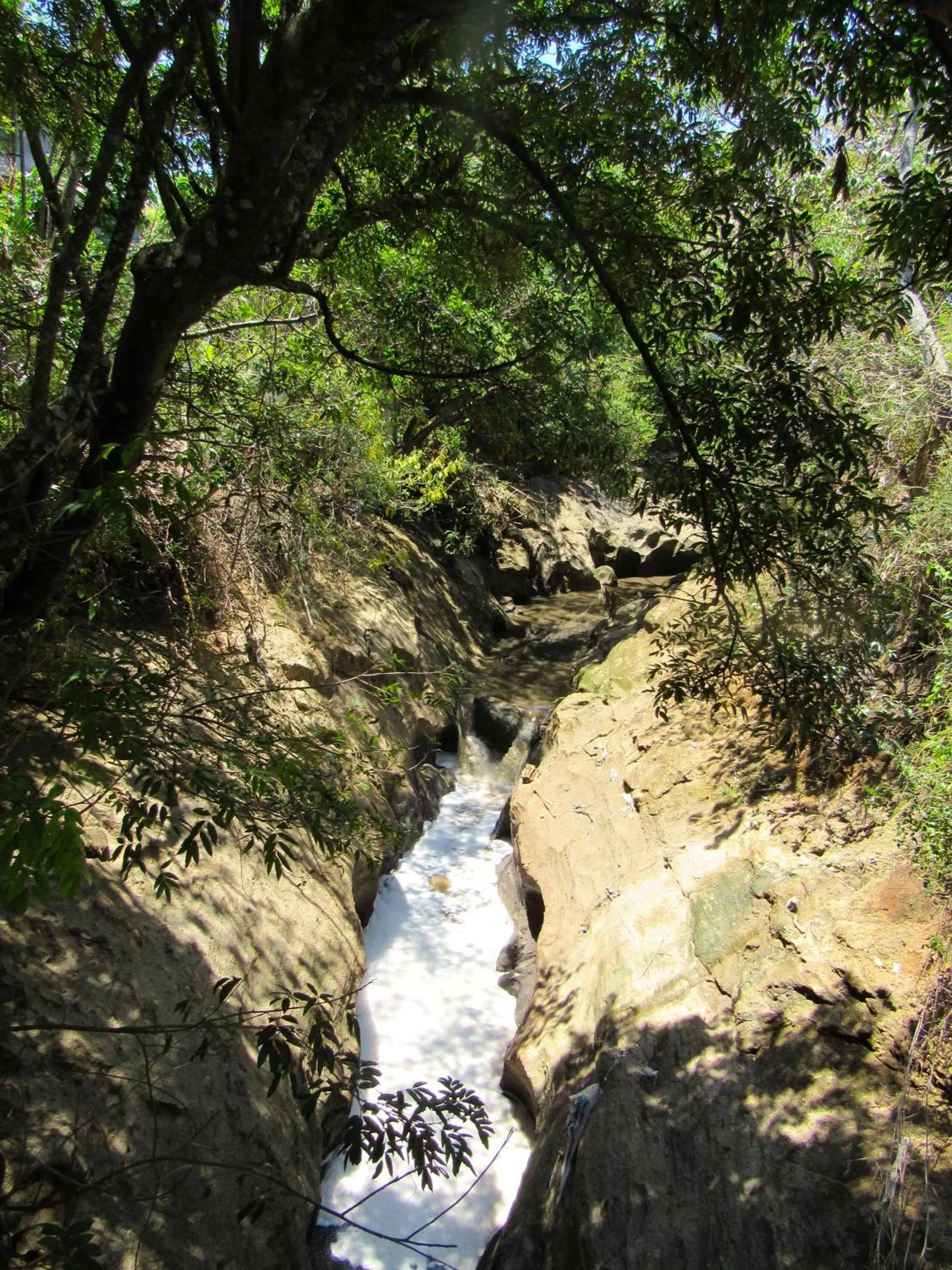 Neighbourhood in Cariari Bed & Breakfast