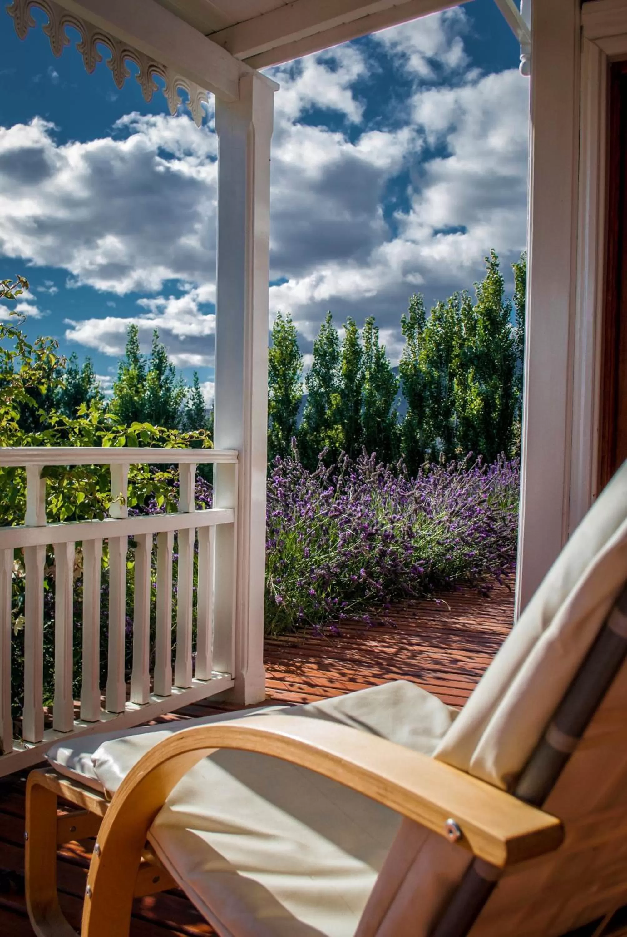 Garden in Los Ponchos Hotel