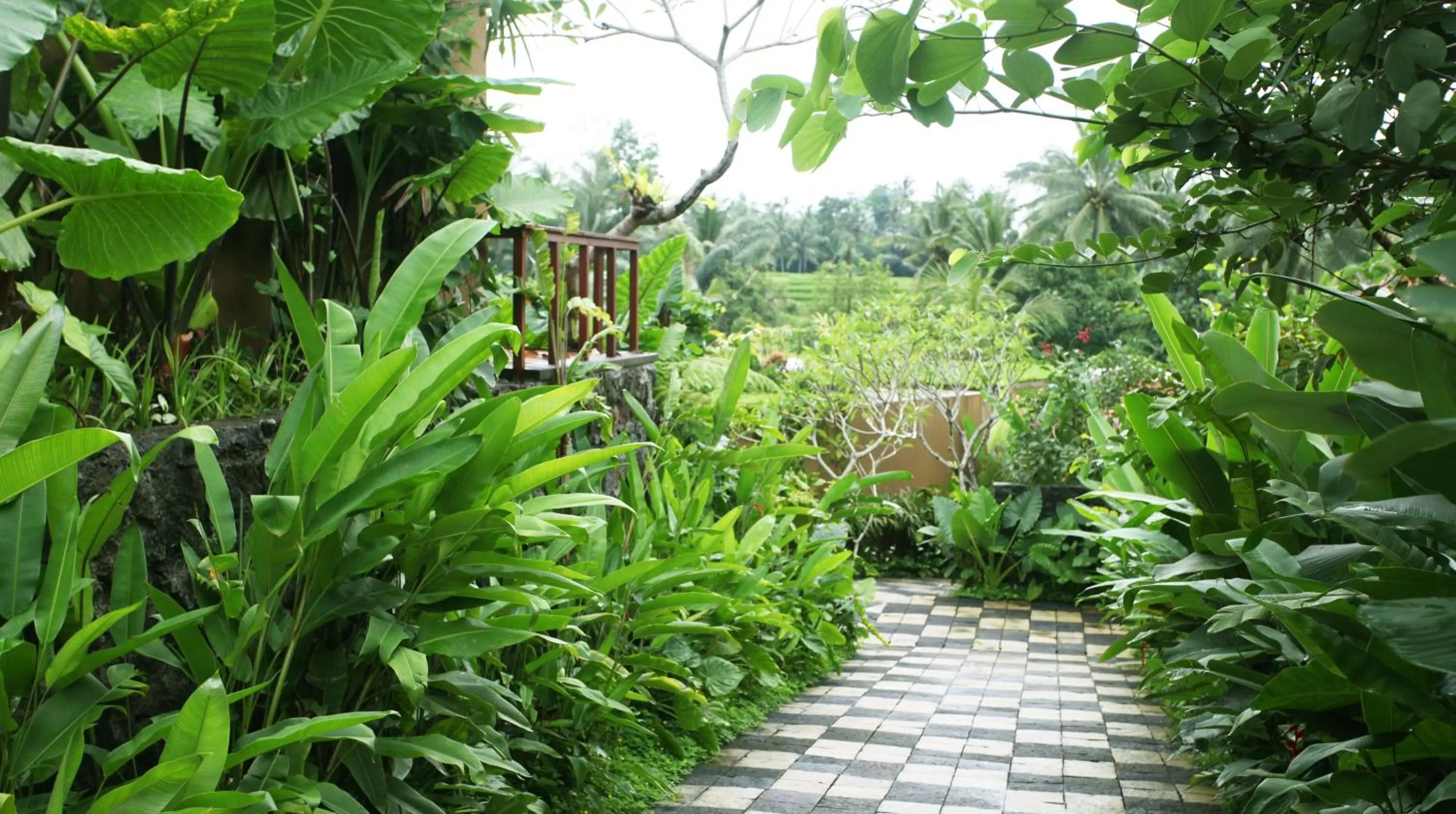 Day in Ubud Green Resort Villas Powered by Archipelago