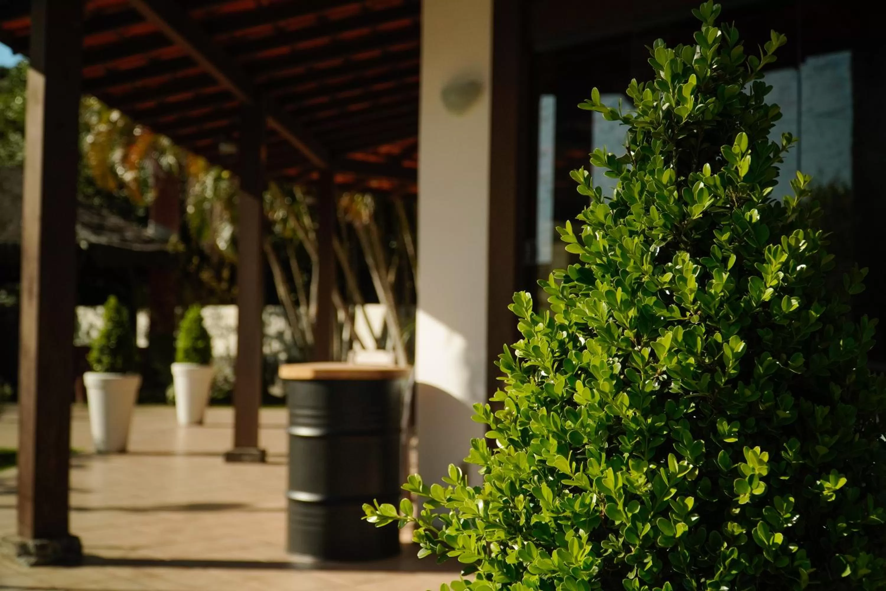 Breakfast in Pousada Dunasol Floripa