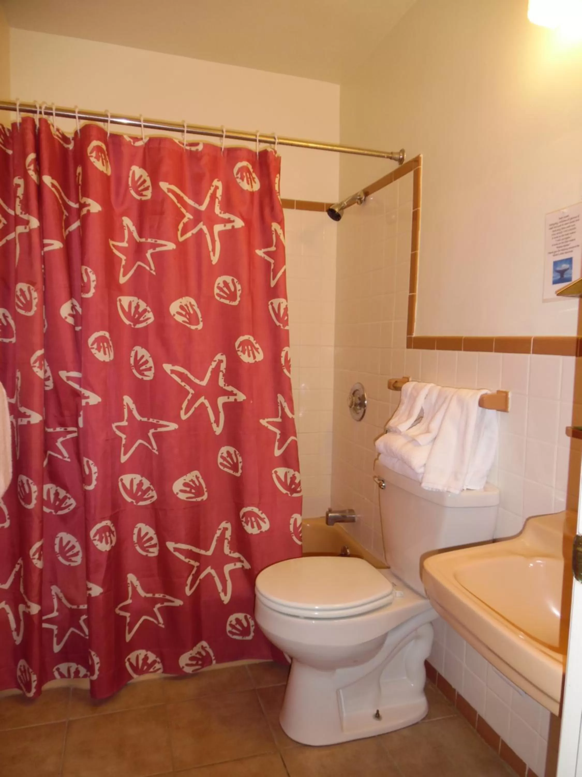 Shower in Wachapreague Inn - Motel Rooms