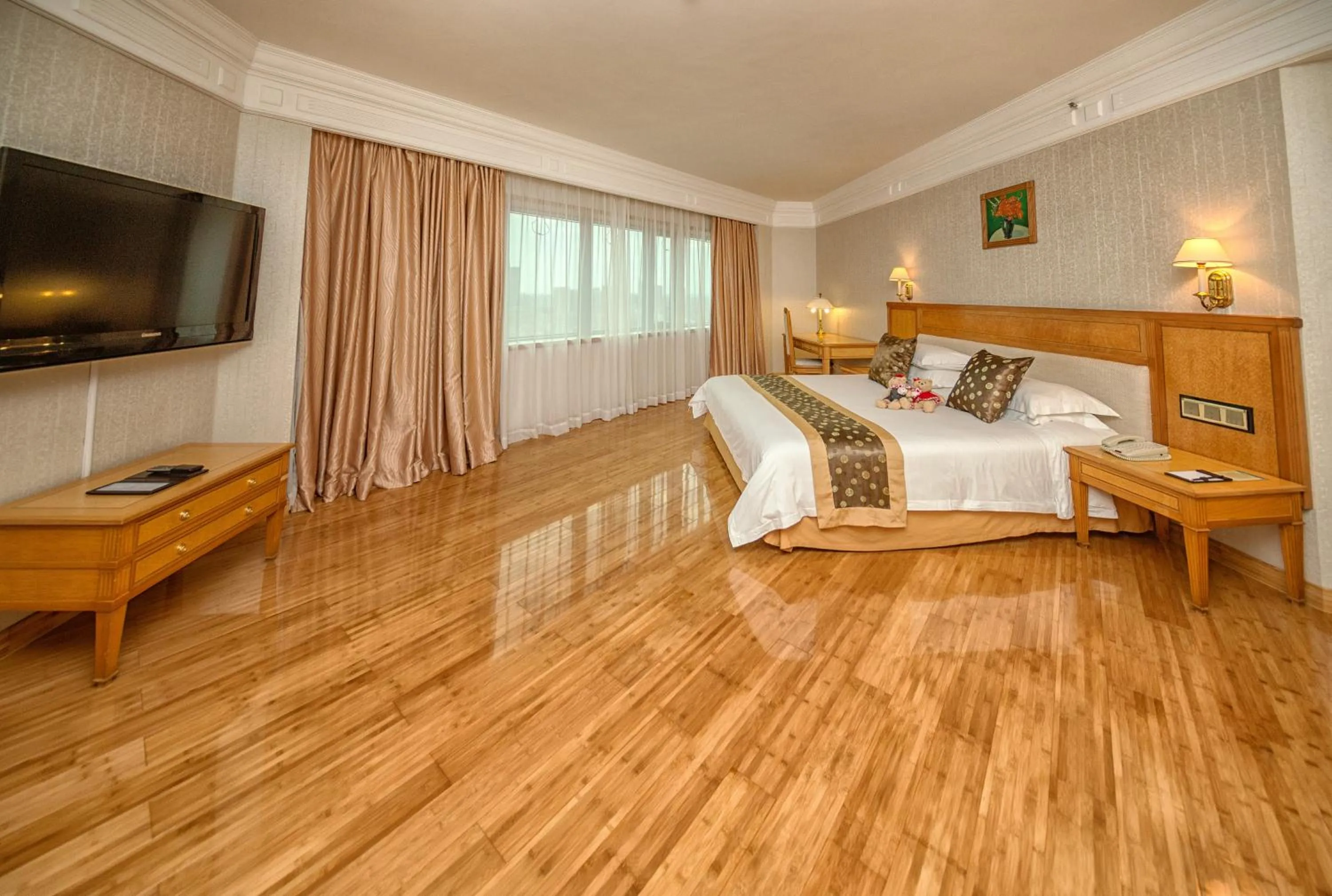 Photo of the whole room in Hotel Silverland