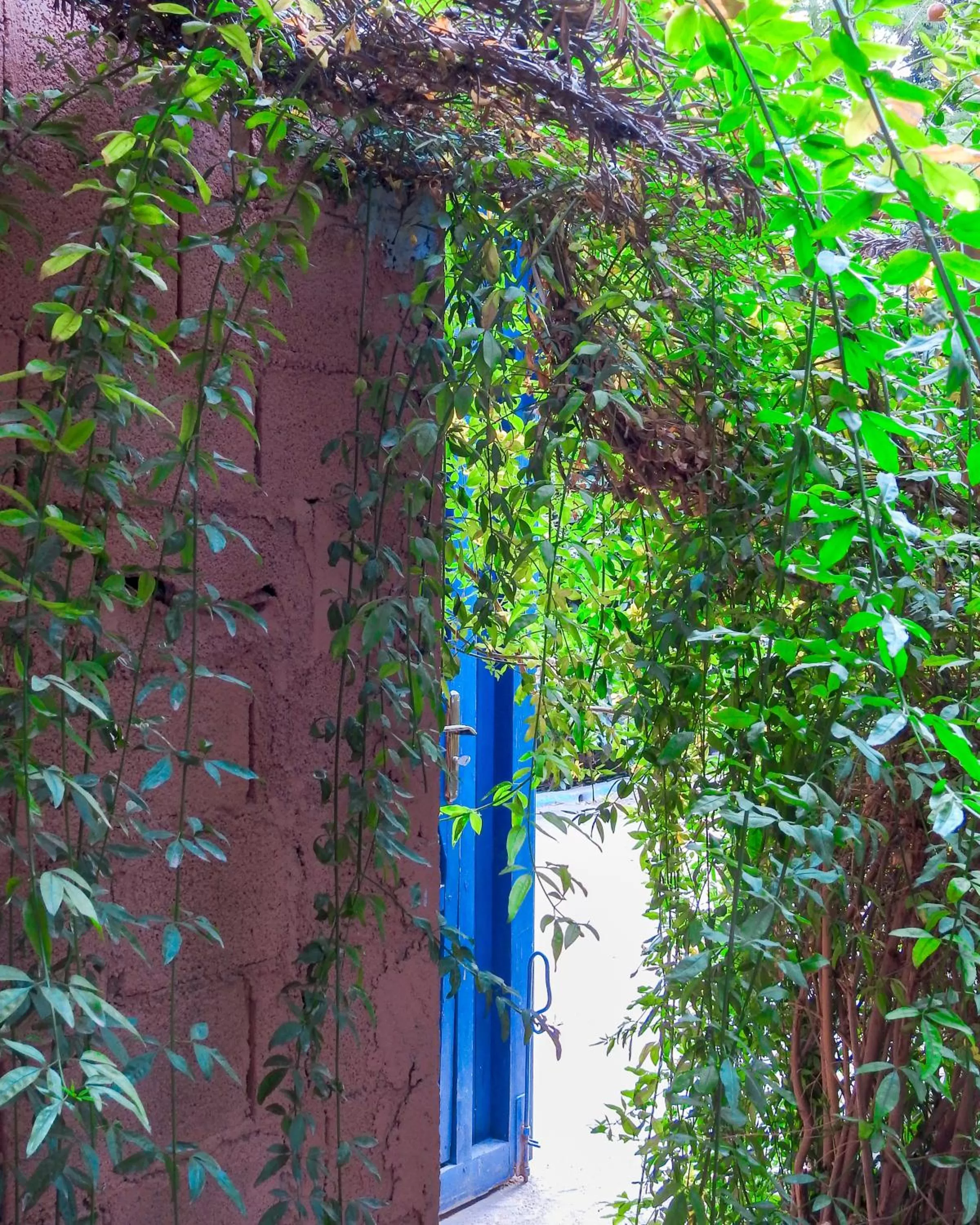 Day in Le Bleu House