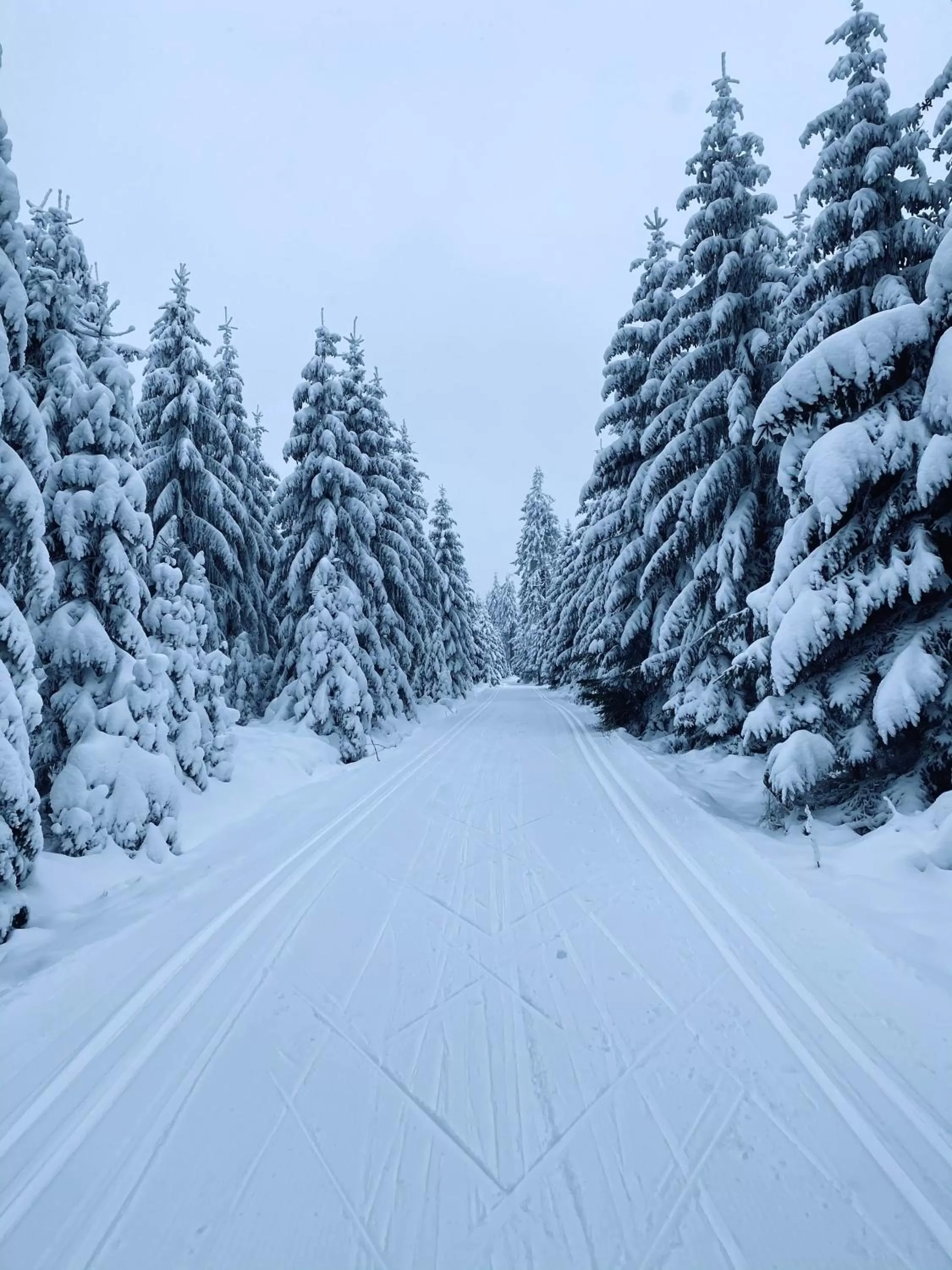 Natural landscape in Vila Jáchymov