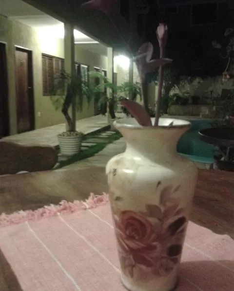 Pool view in Hospedaria Lua Raio de Sol