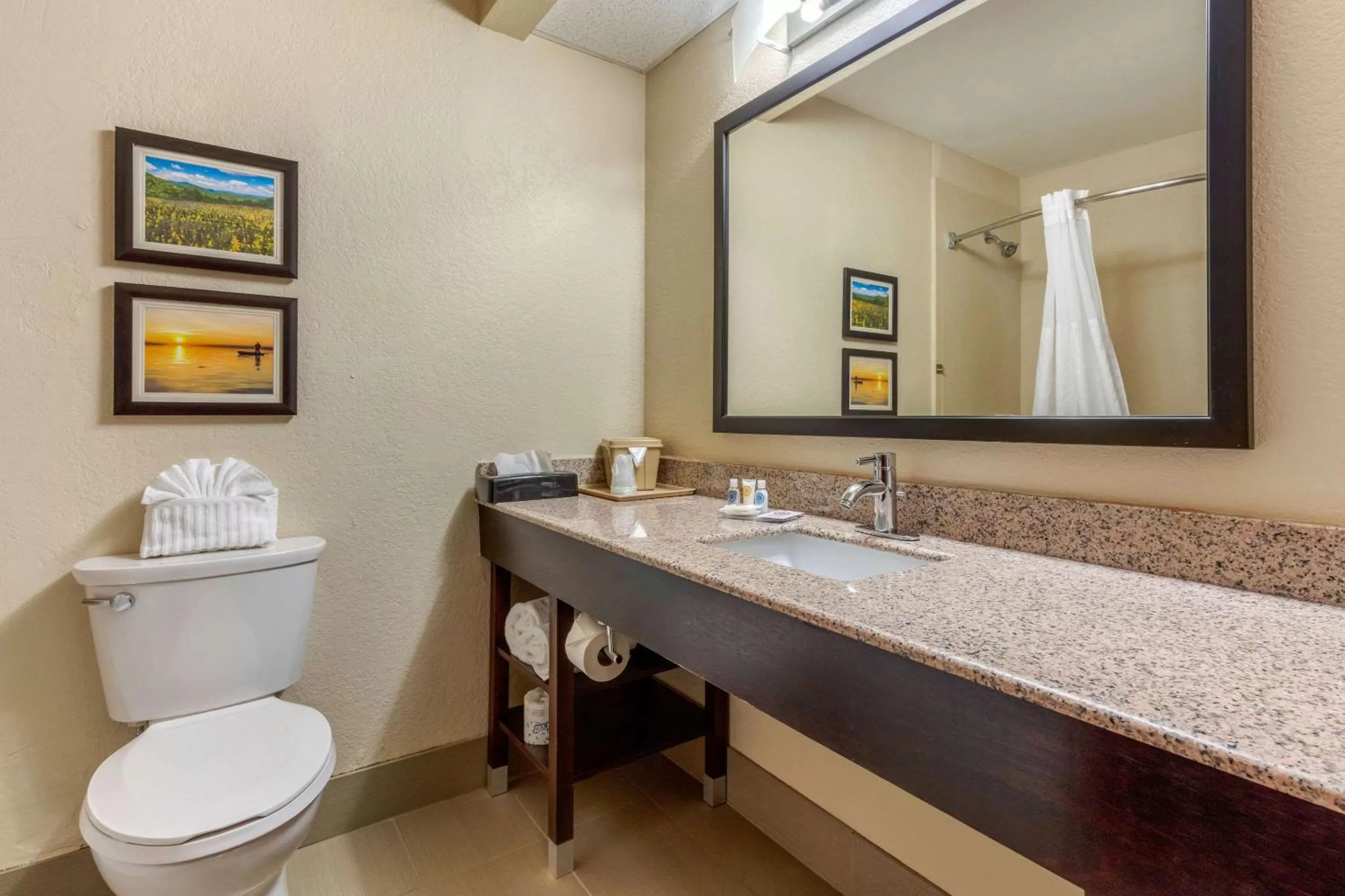 Bathroom in Comfort Inn Lenoir City-Knoxville