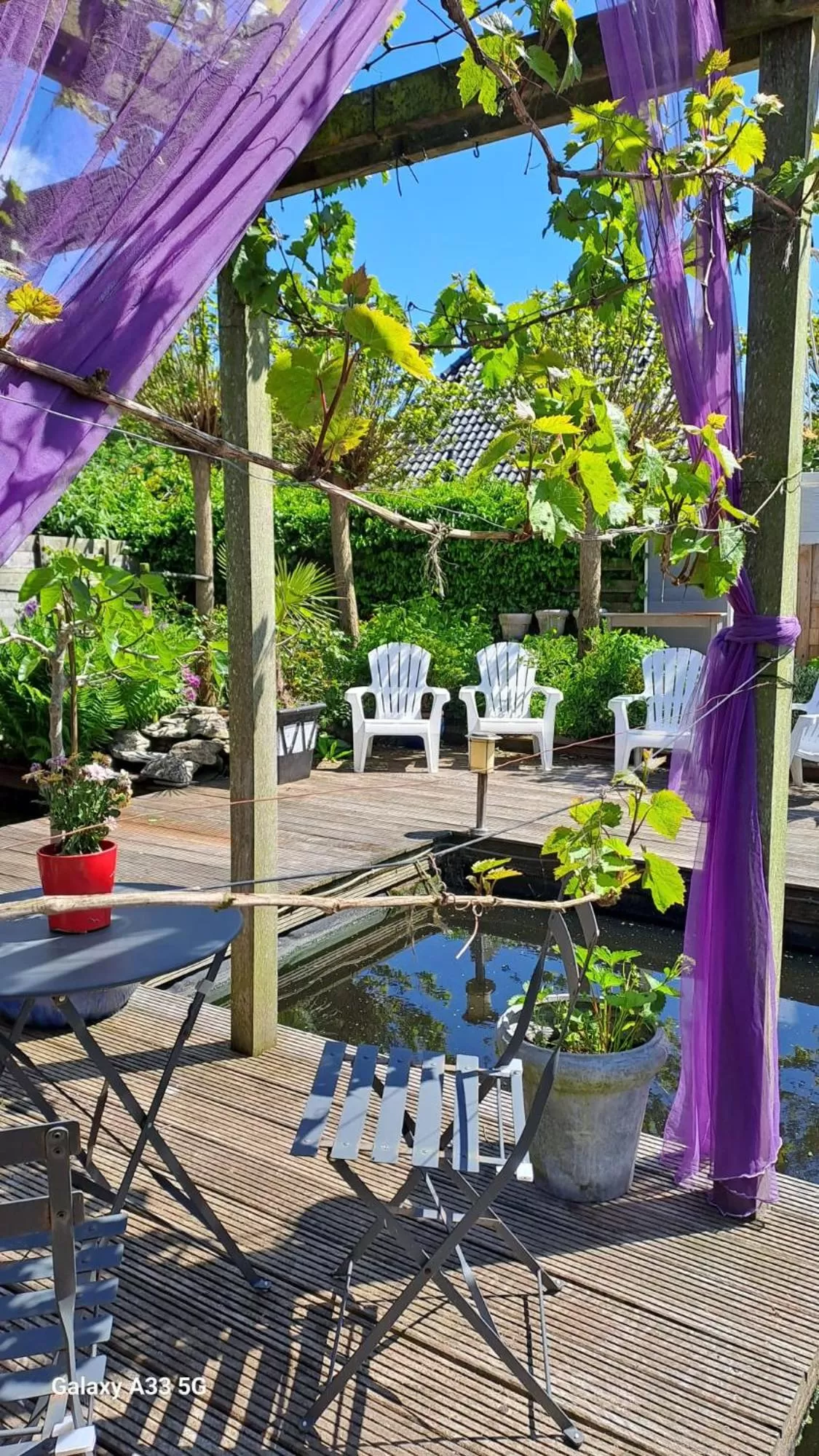 Garden in B&B Het Oude Doktershuys