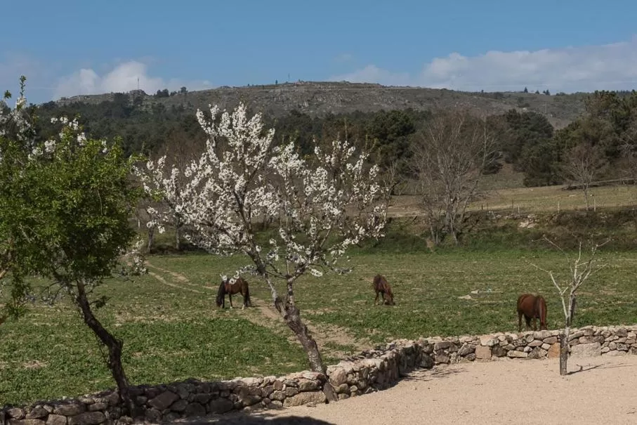 View (from property/room) in Quinta do Rio Noémi