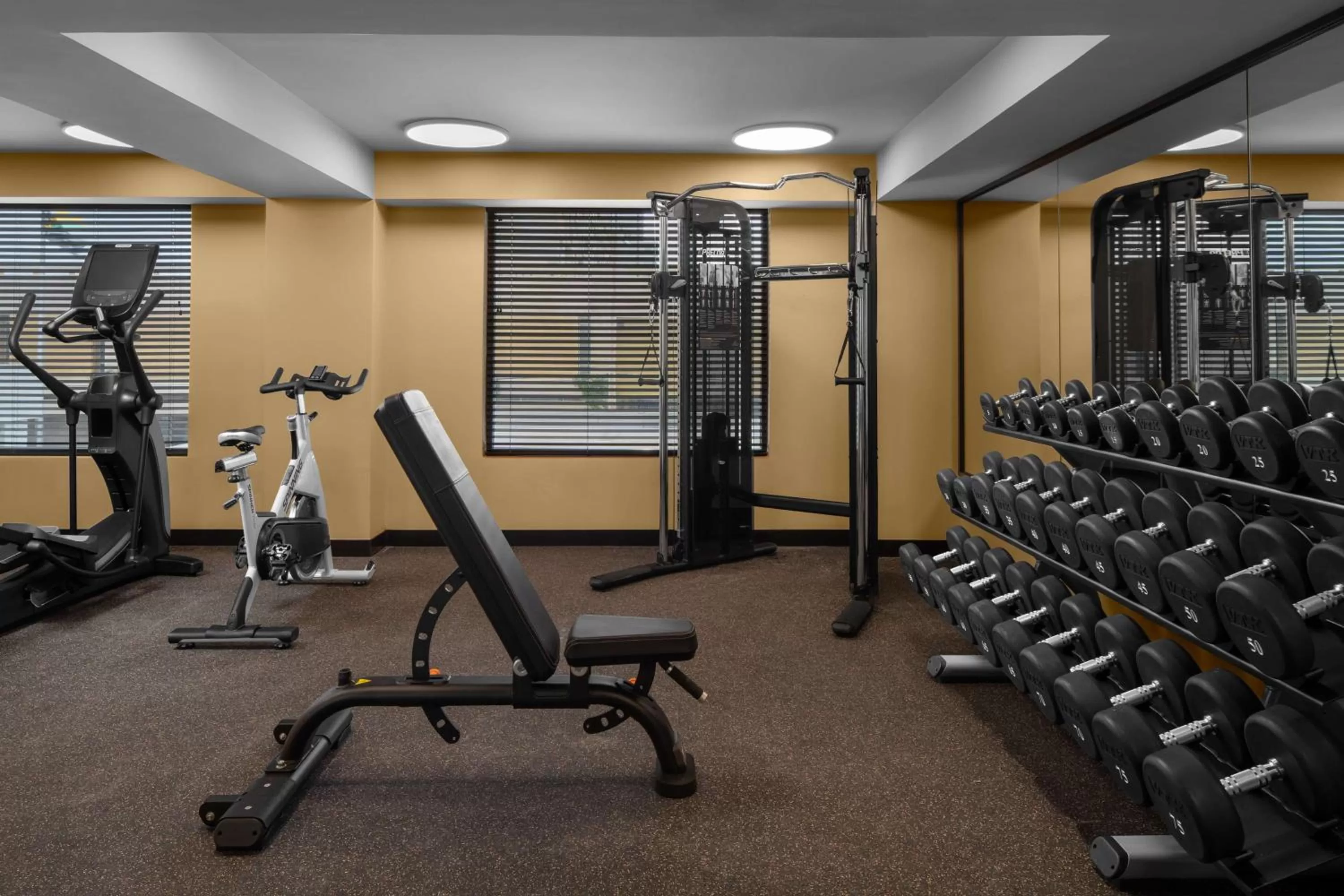 Fitness centre/facilities in ROK Hotel Kingston, Tapestry Collection By Hilton