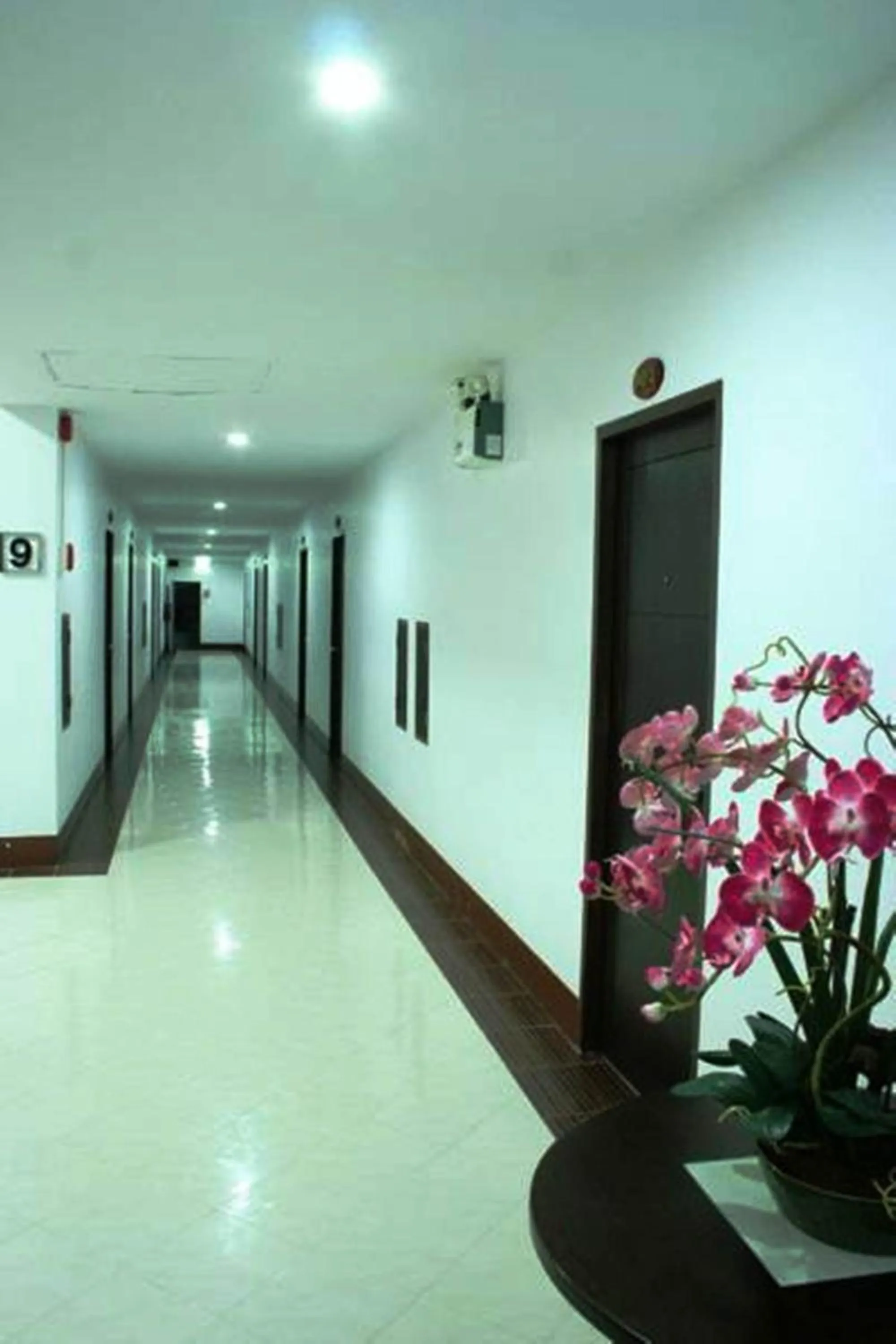 Other in Nice Beach Hotel