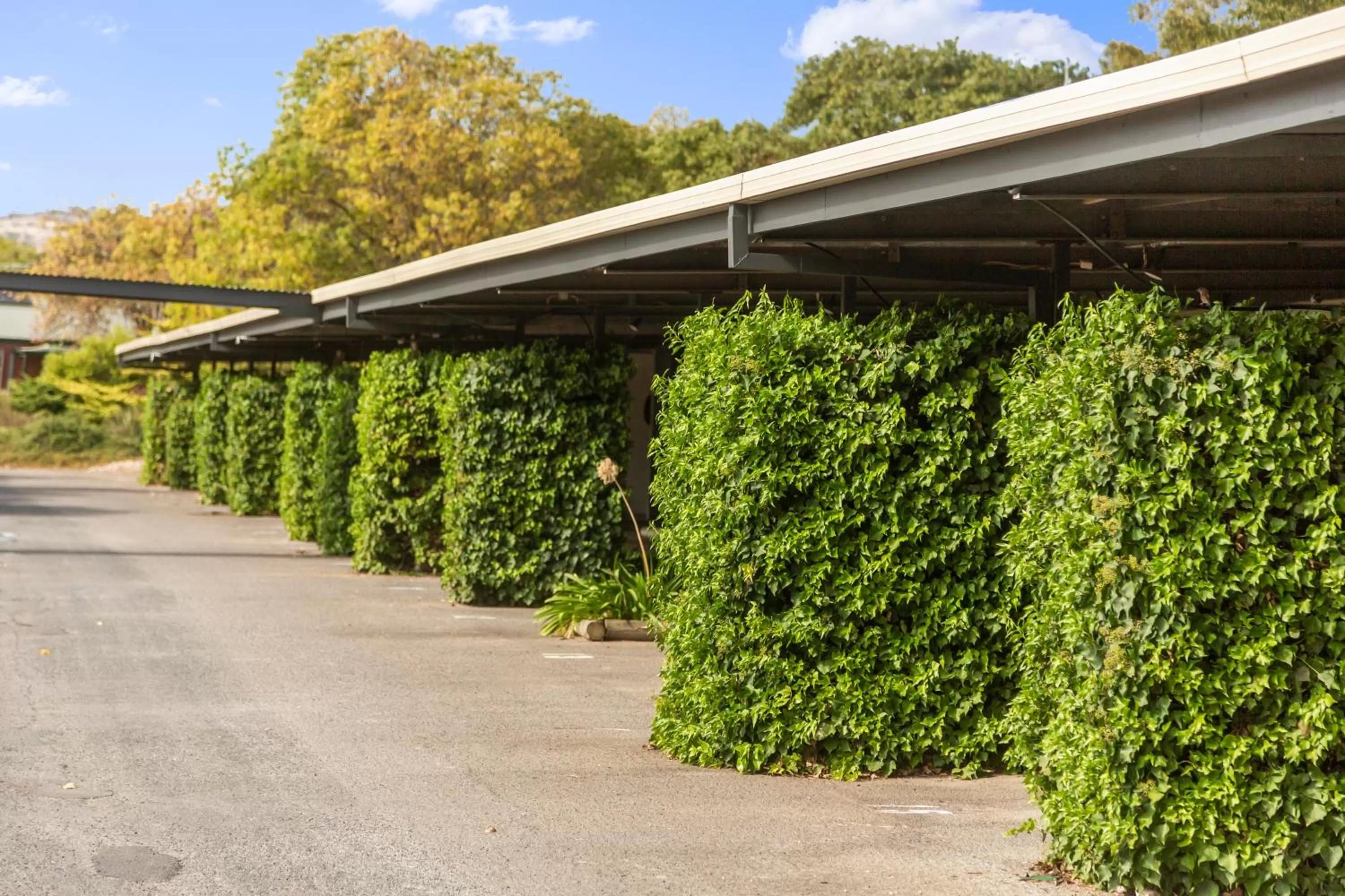 Parking in The Wine Vine Hotel