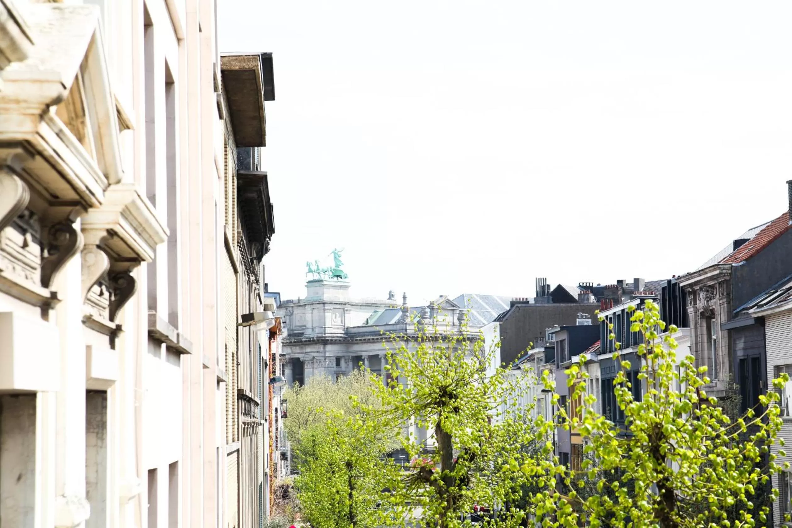 Neighbourhood, Neighborhood in Because the Night city lodge