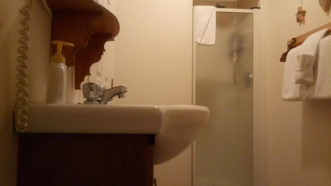 Shower, Bathroom in Auberge Micro-Brasserie Le Baril Roulant