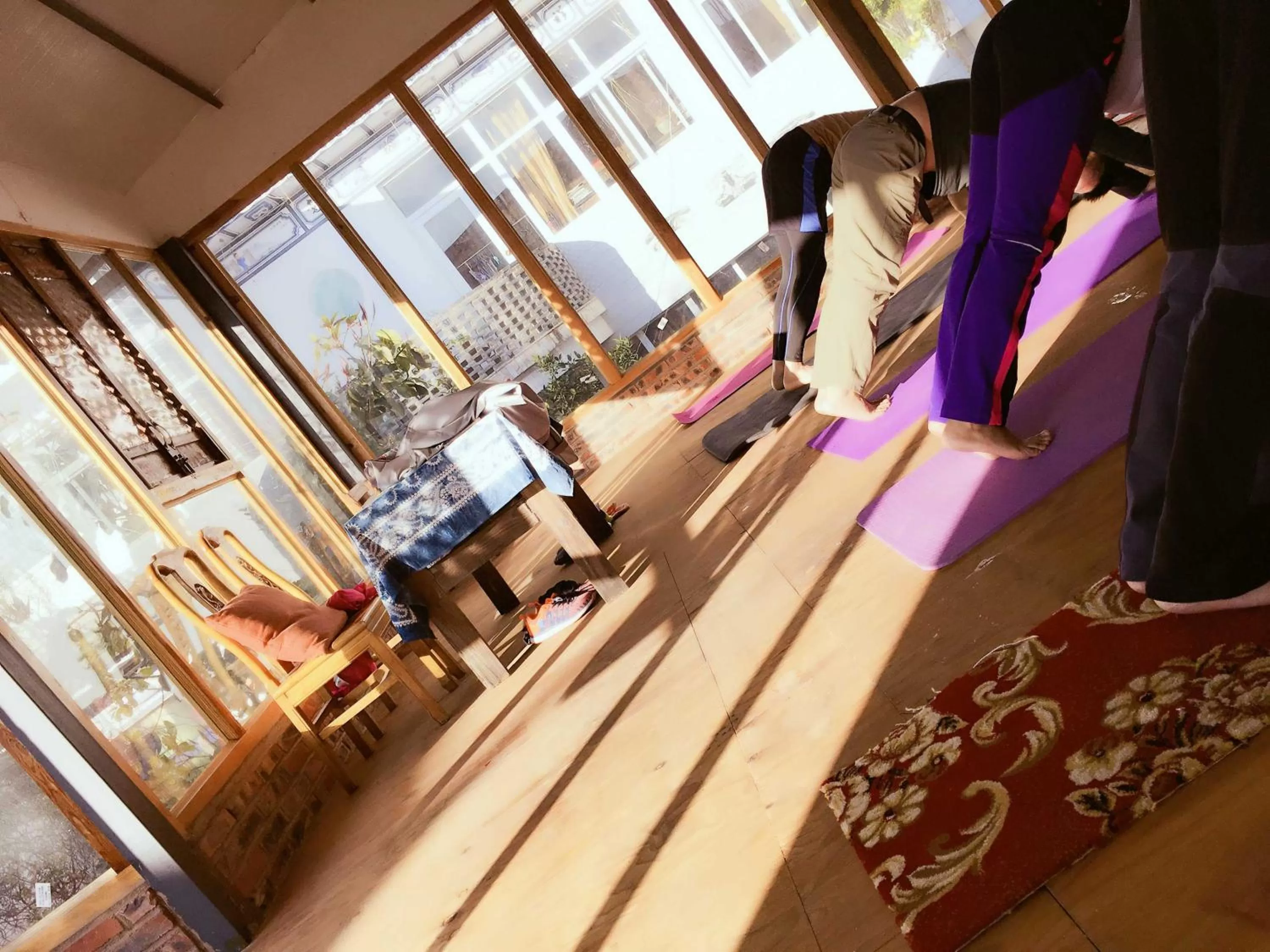 Activities in The Lily Pad Inn