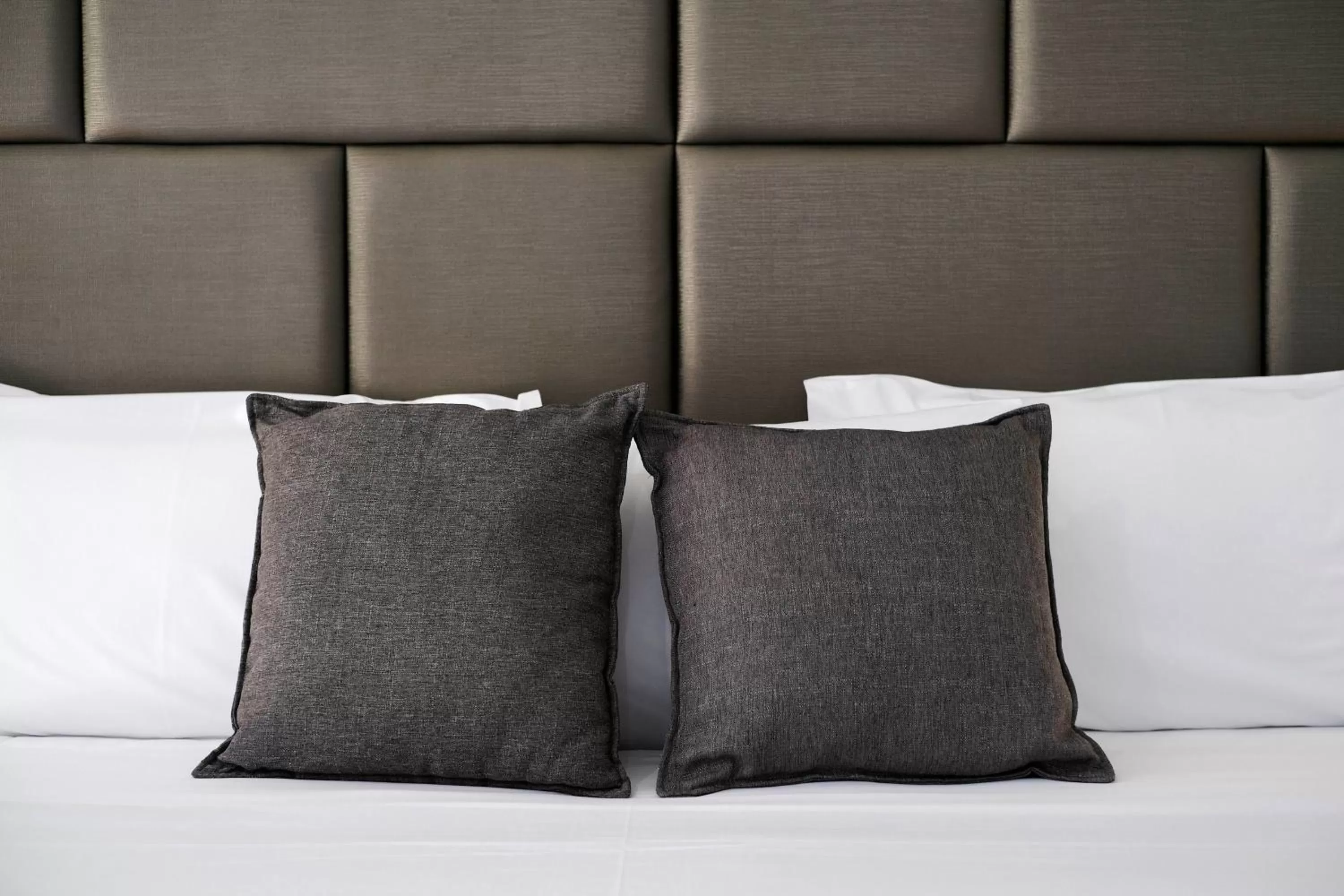 Standard King Room in Island Palms Motor Inn