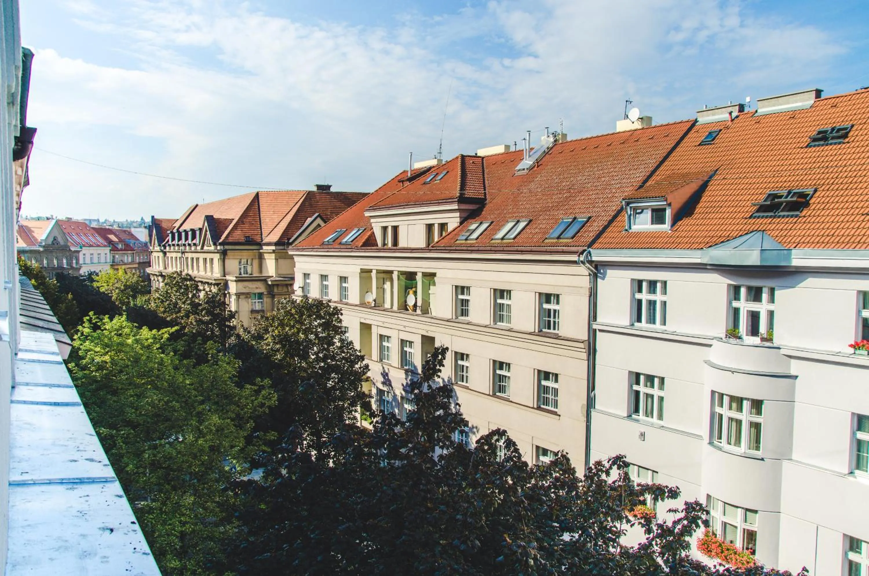Decorative detail in Hostel Dakura