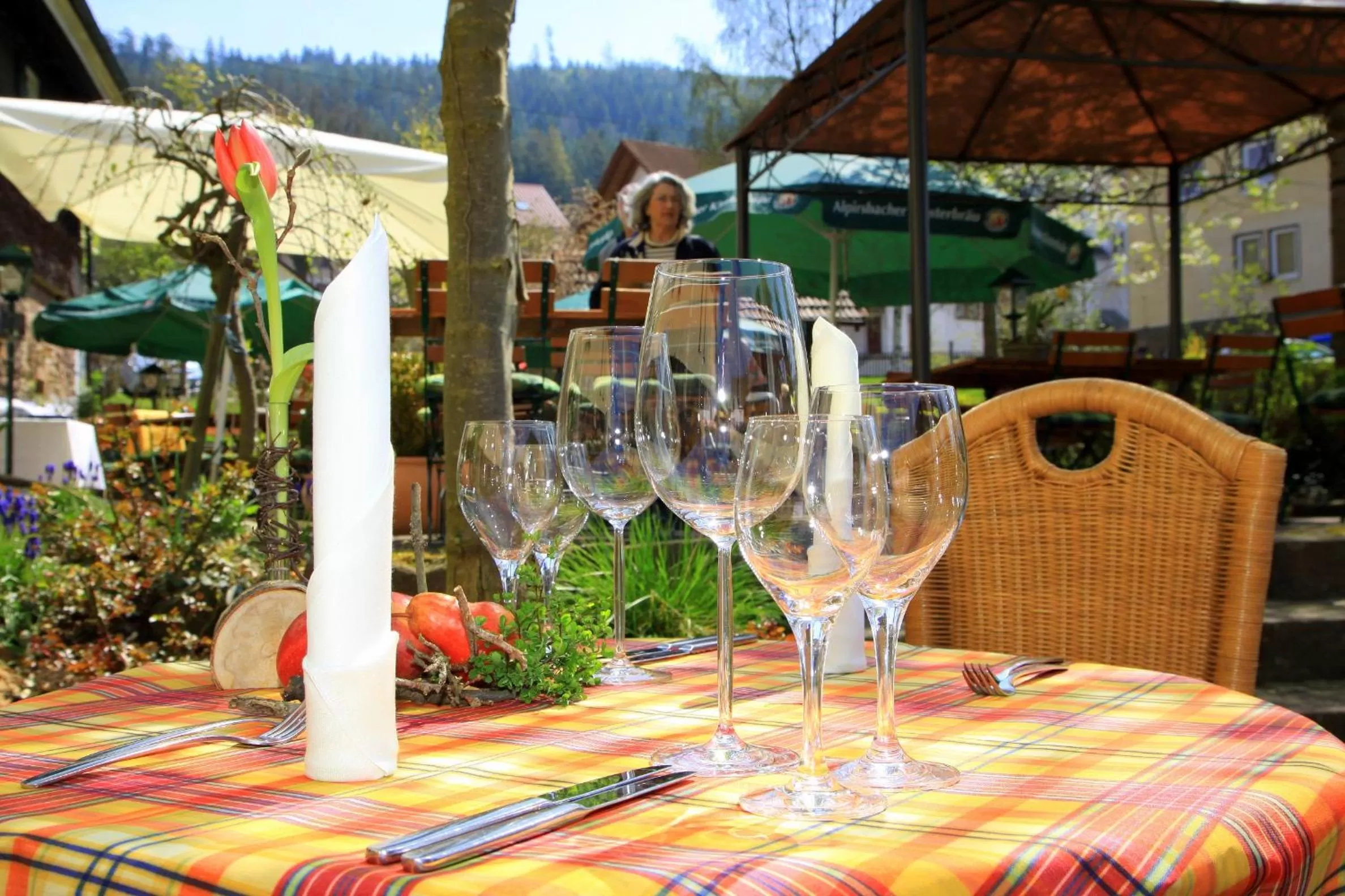 Balcony/Terrace in Gutshof-Hotel Waldknechtshof