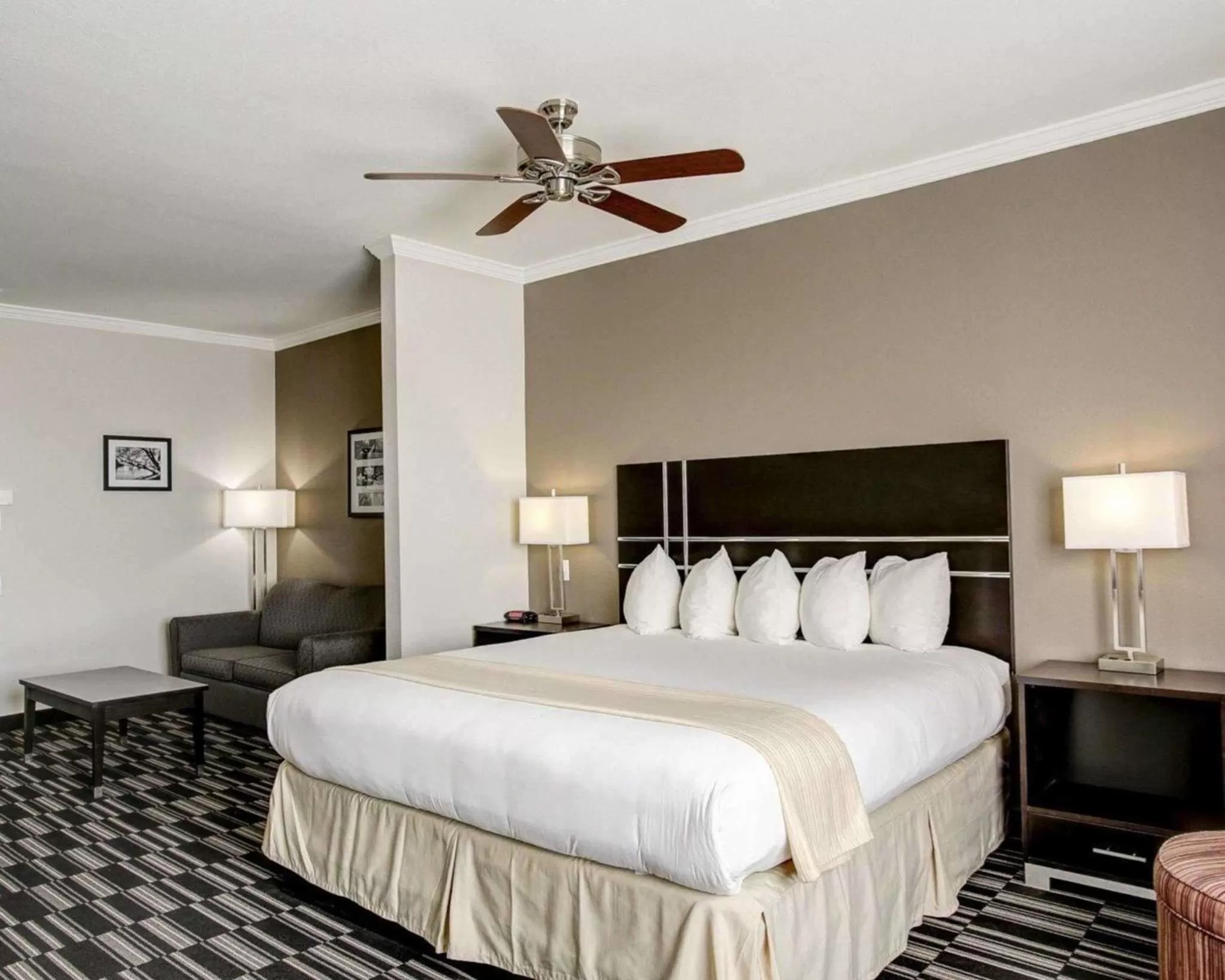 Photo of the whole room, Bed in Quality Inn & Suites Bryan-College Station