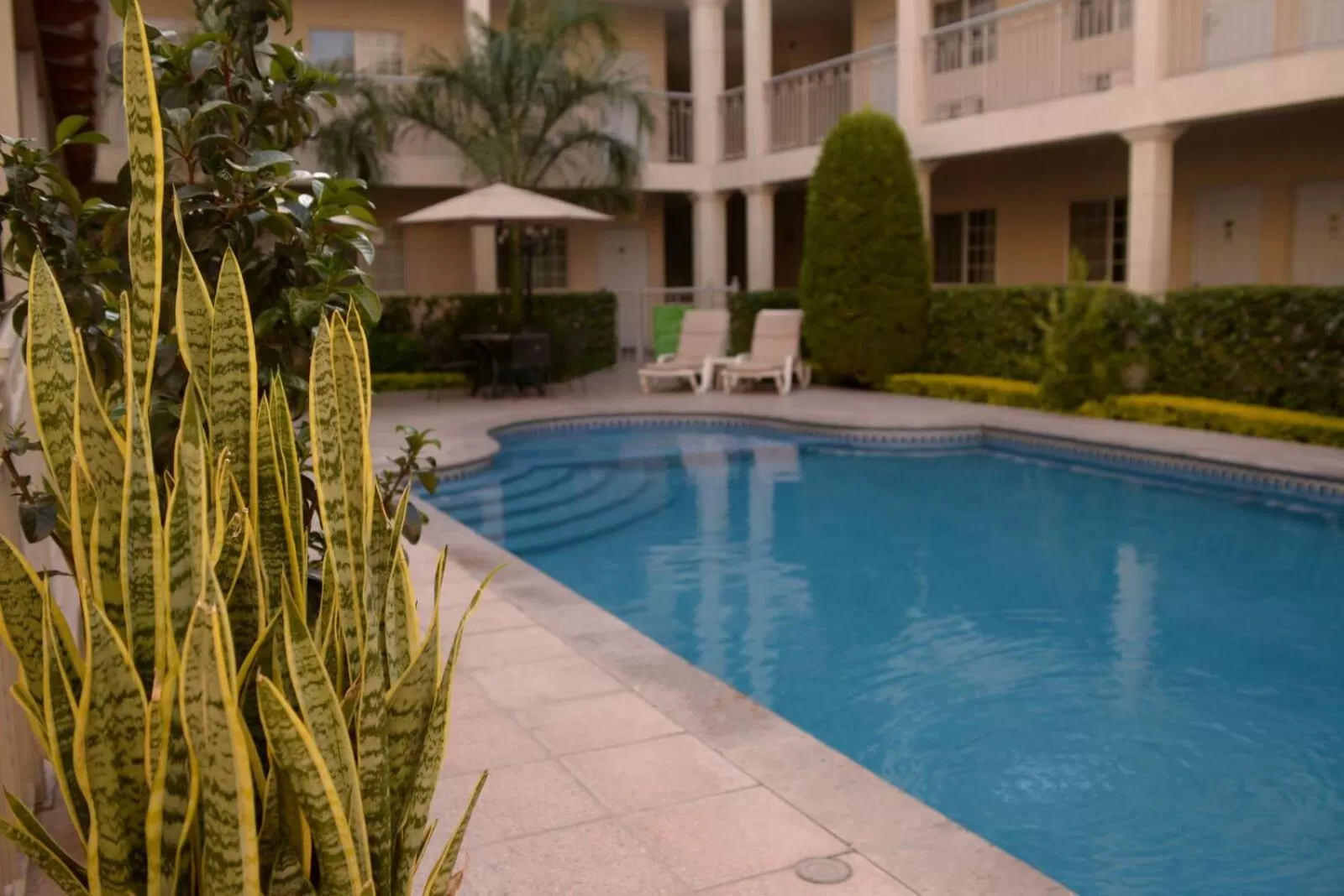 Swimming pool in Fresno Galerias