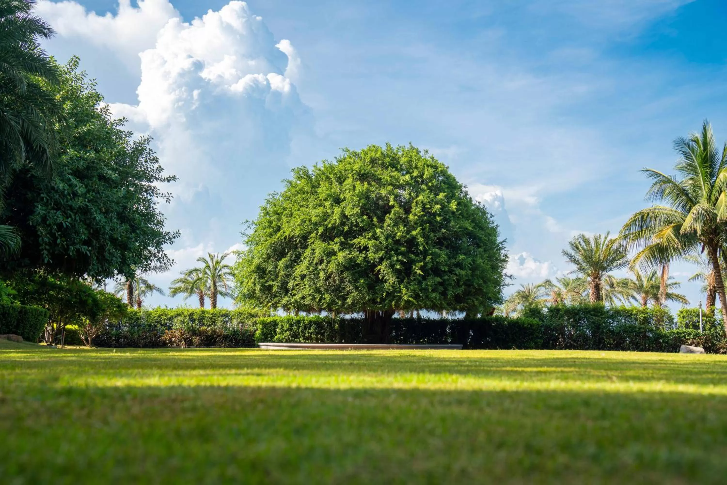 Day in Haikou Marriott Hotel