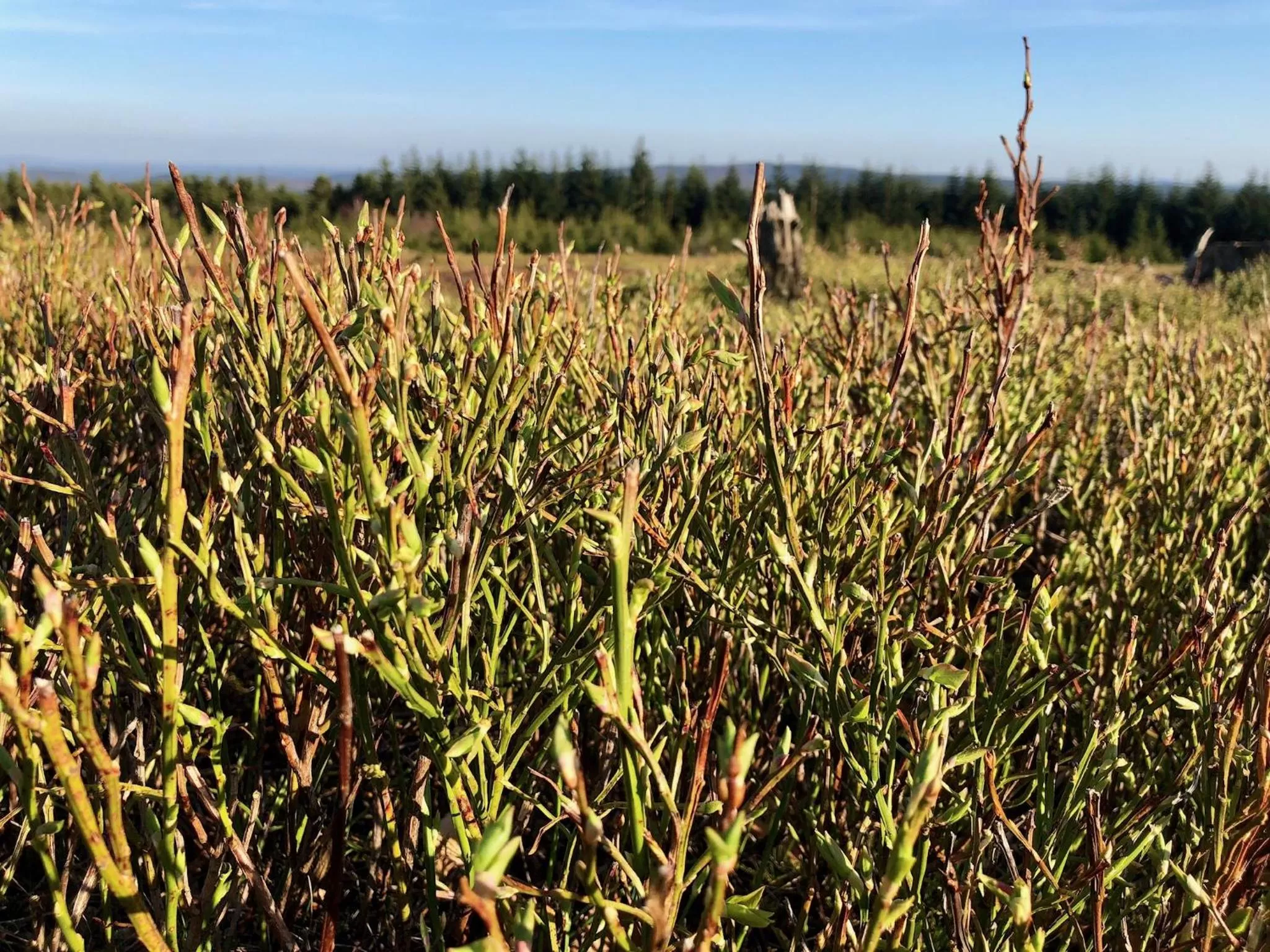 Natural landscape in Astenturm Hotel