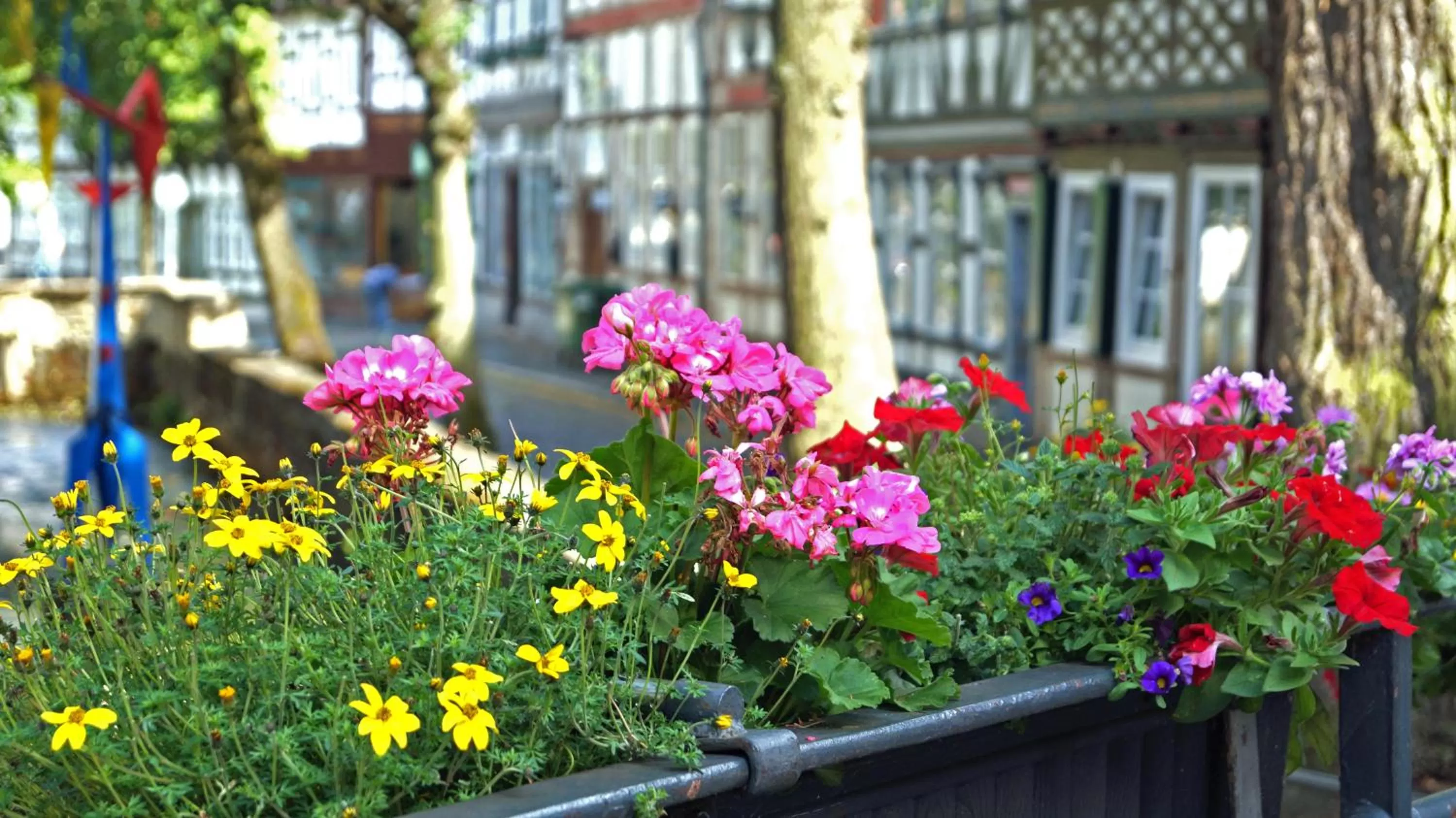 Spring in Hubertus Hof