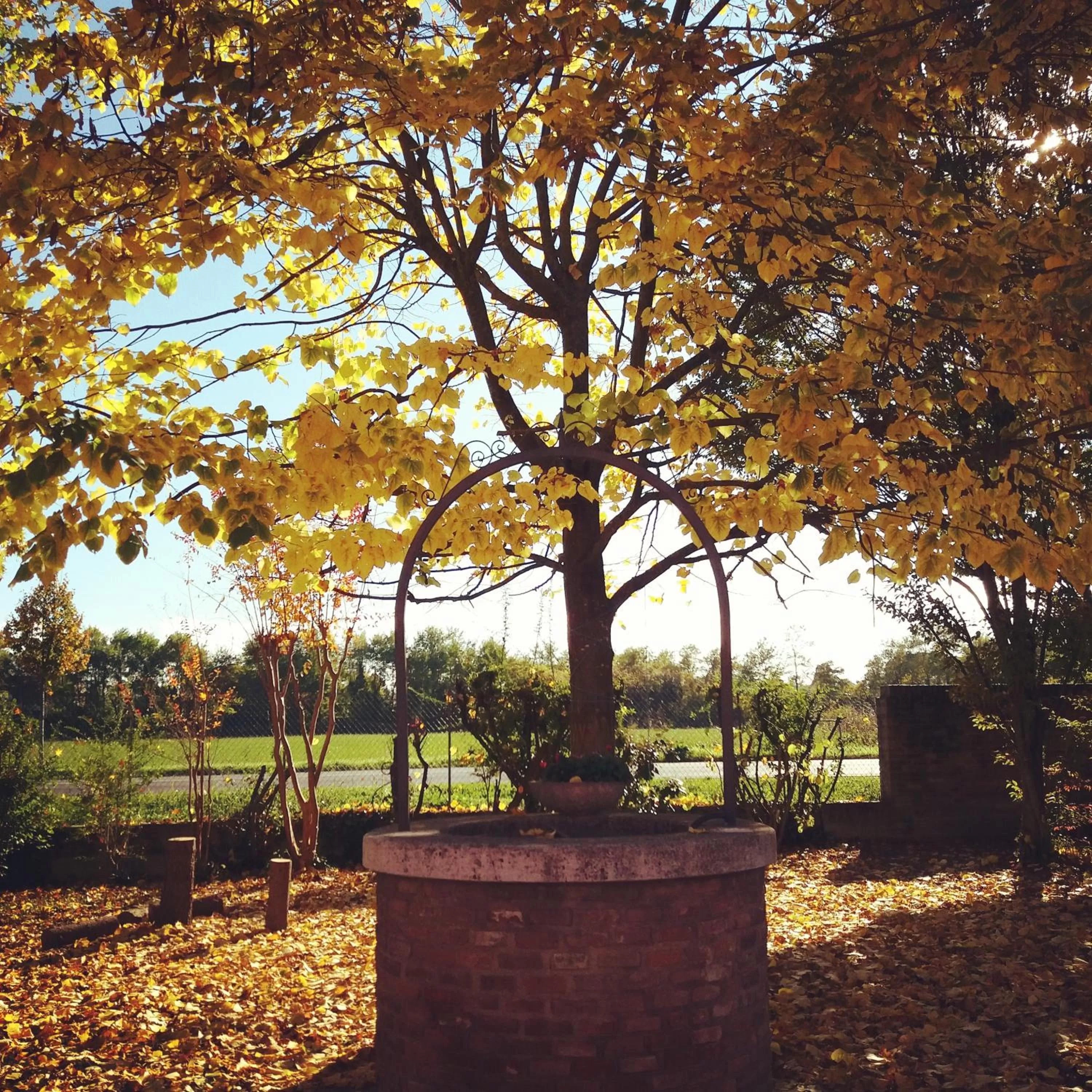 Garden in R&B un mondo a colori