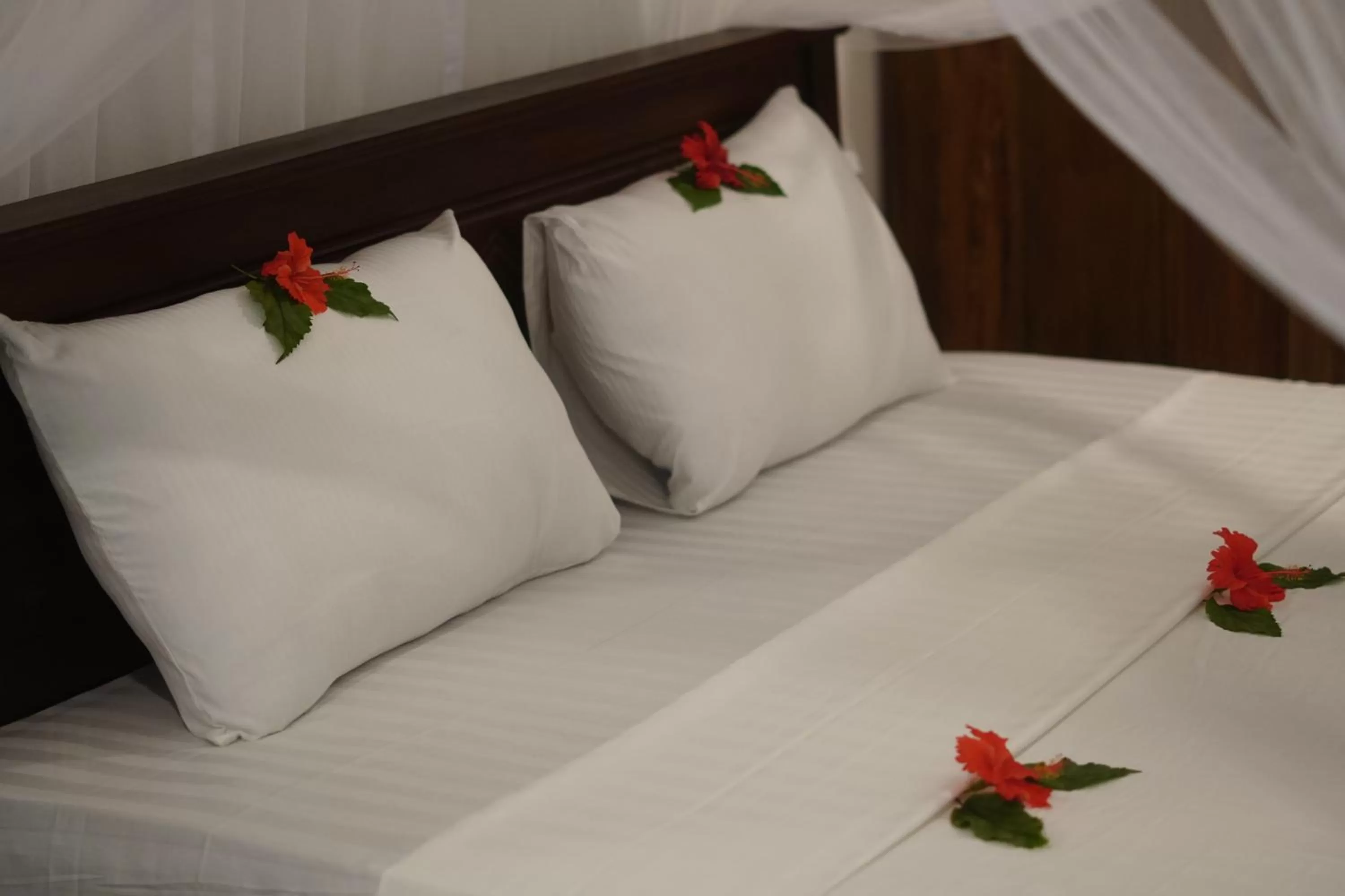 Bed in Turtle Bay Beach Resort