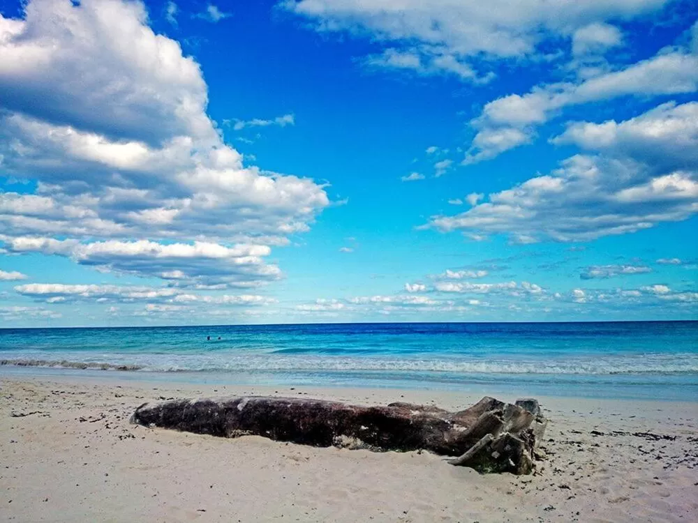 Beach in Alaya Tulum by Ahau Collection